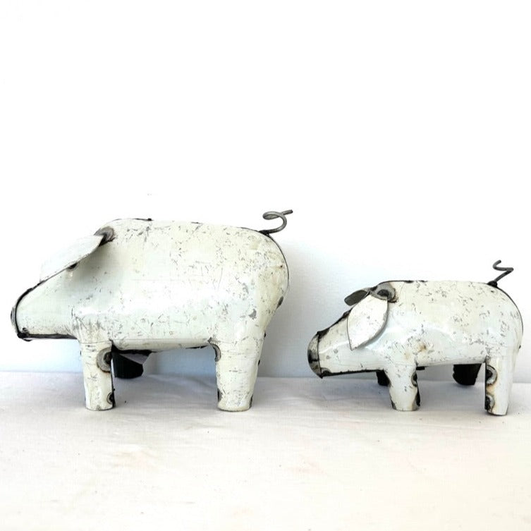 Pig
