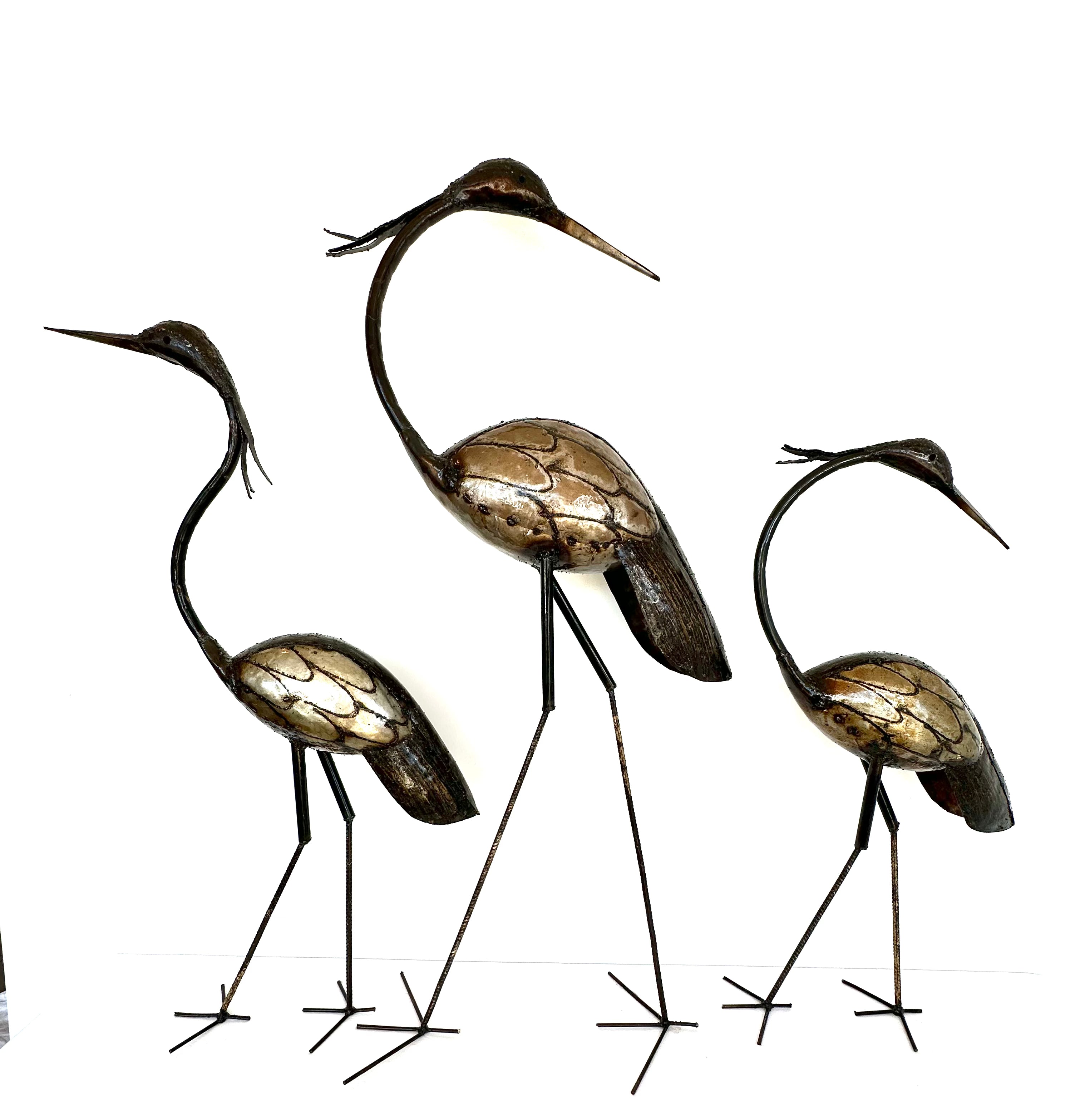 Heron