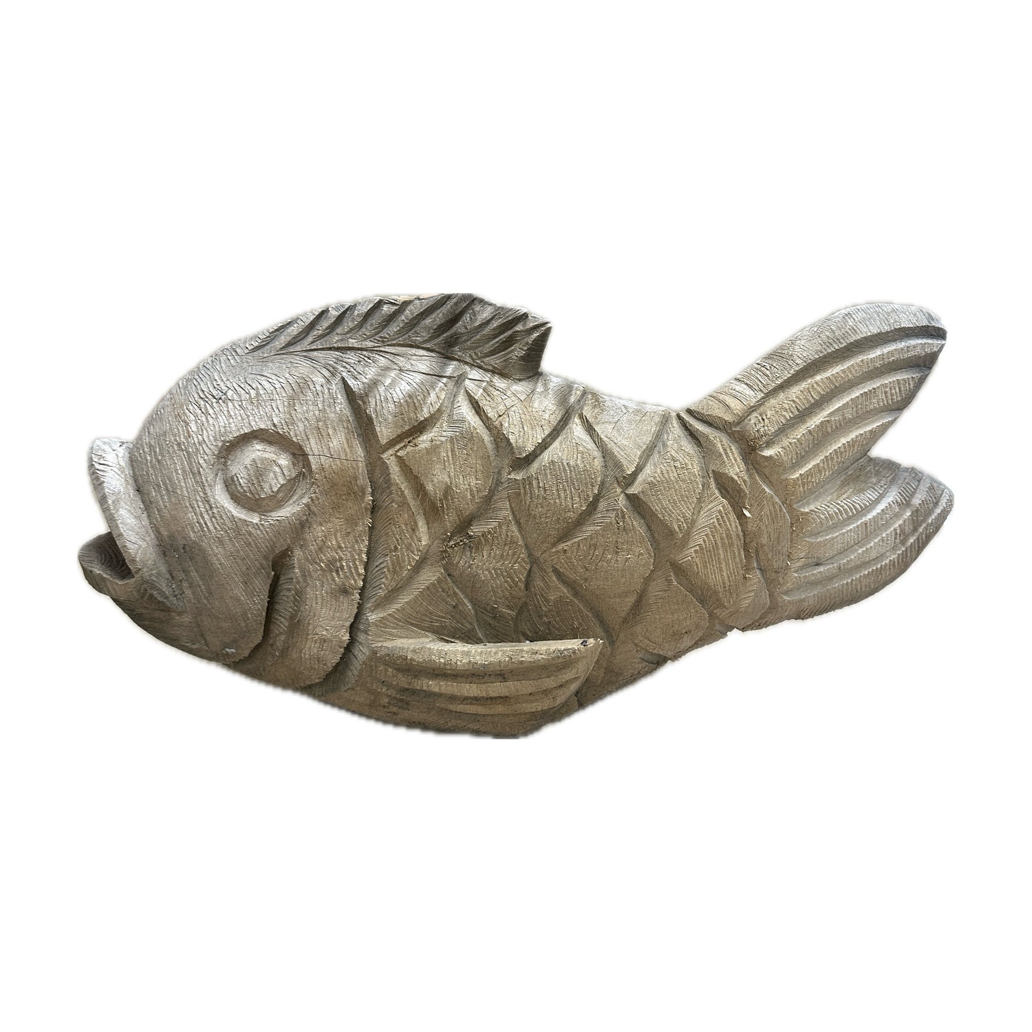 Swazi Fish