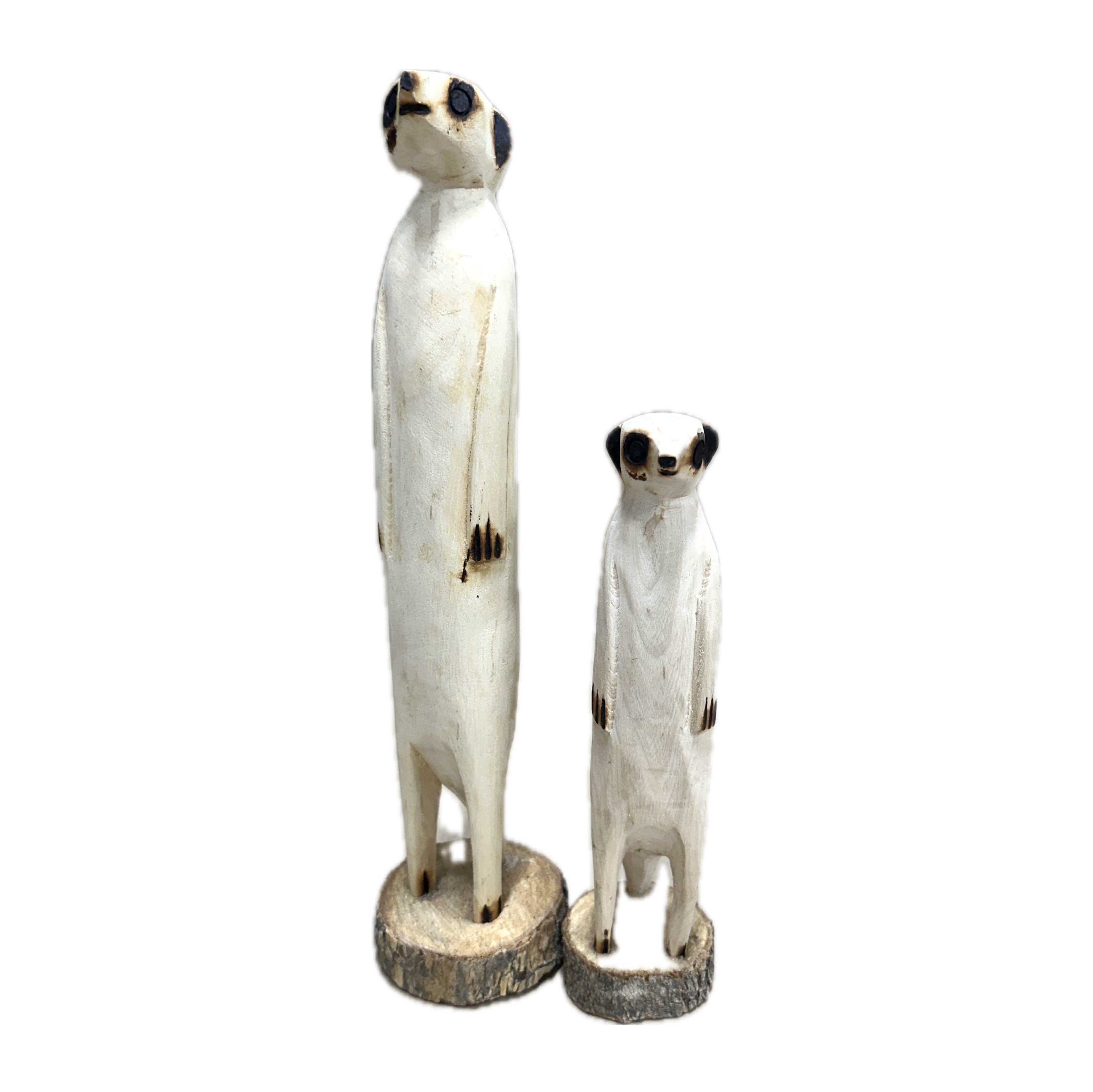 Meerkat