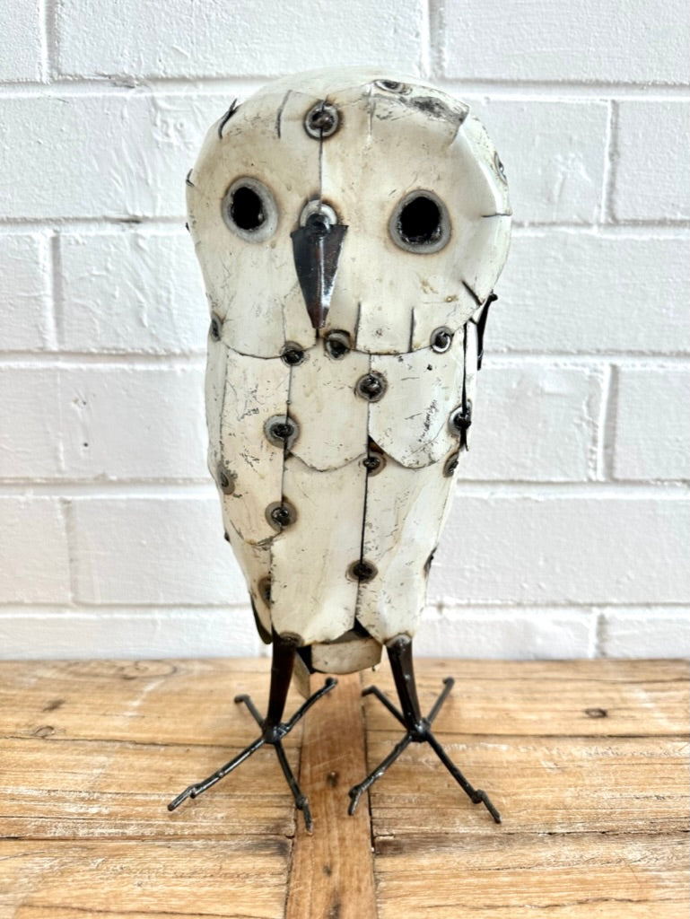 Owl White Without Ears