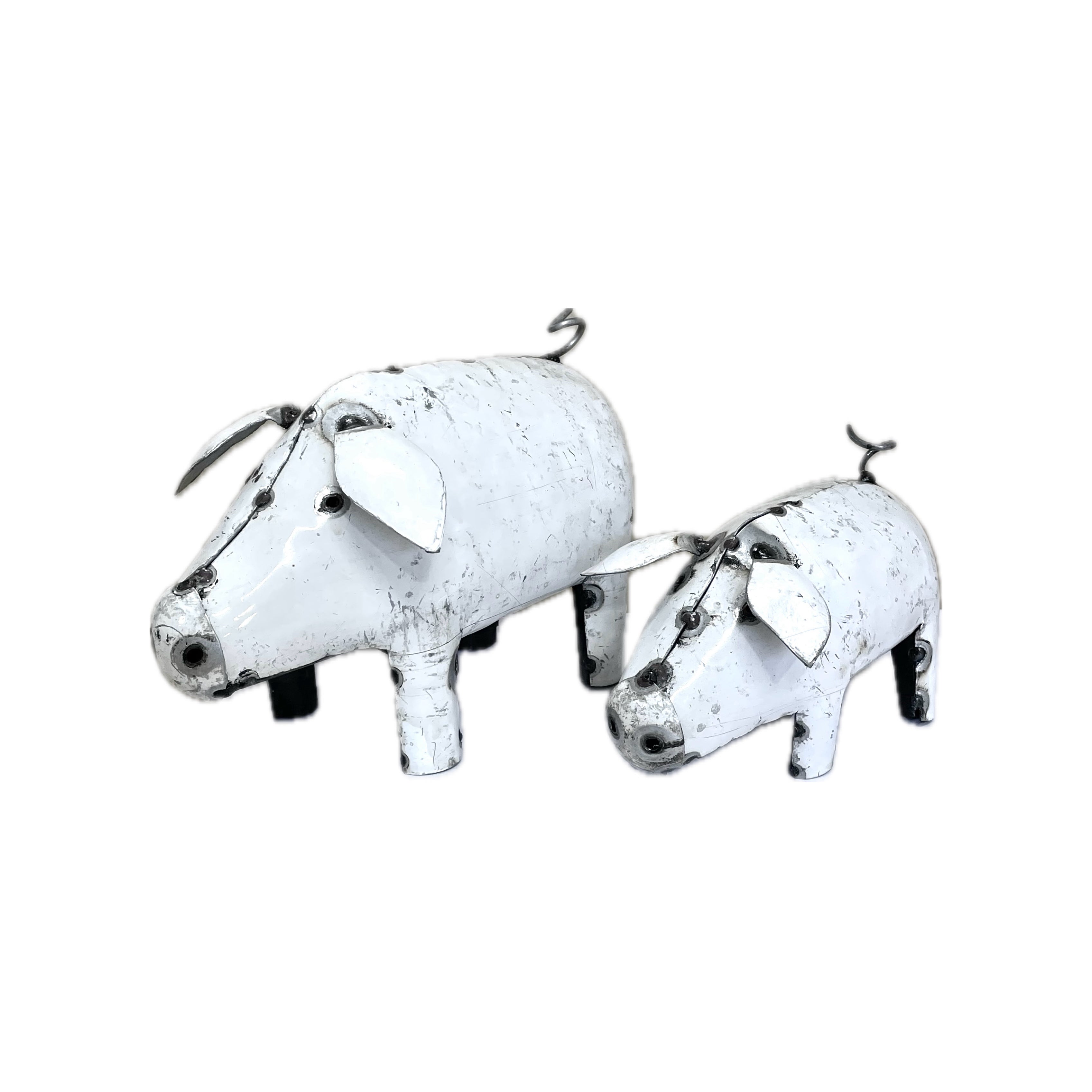 Pig