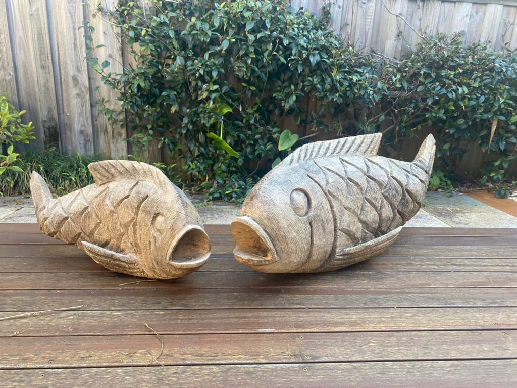 Swazi Fish