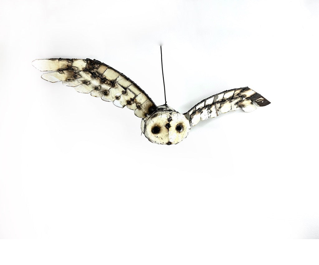 Owl White Flying