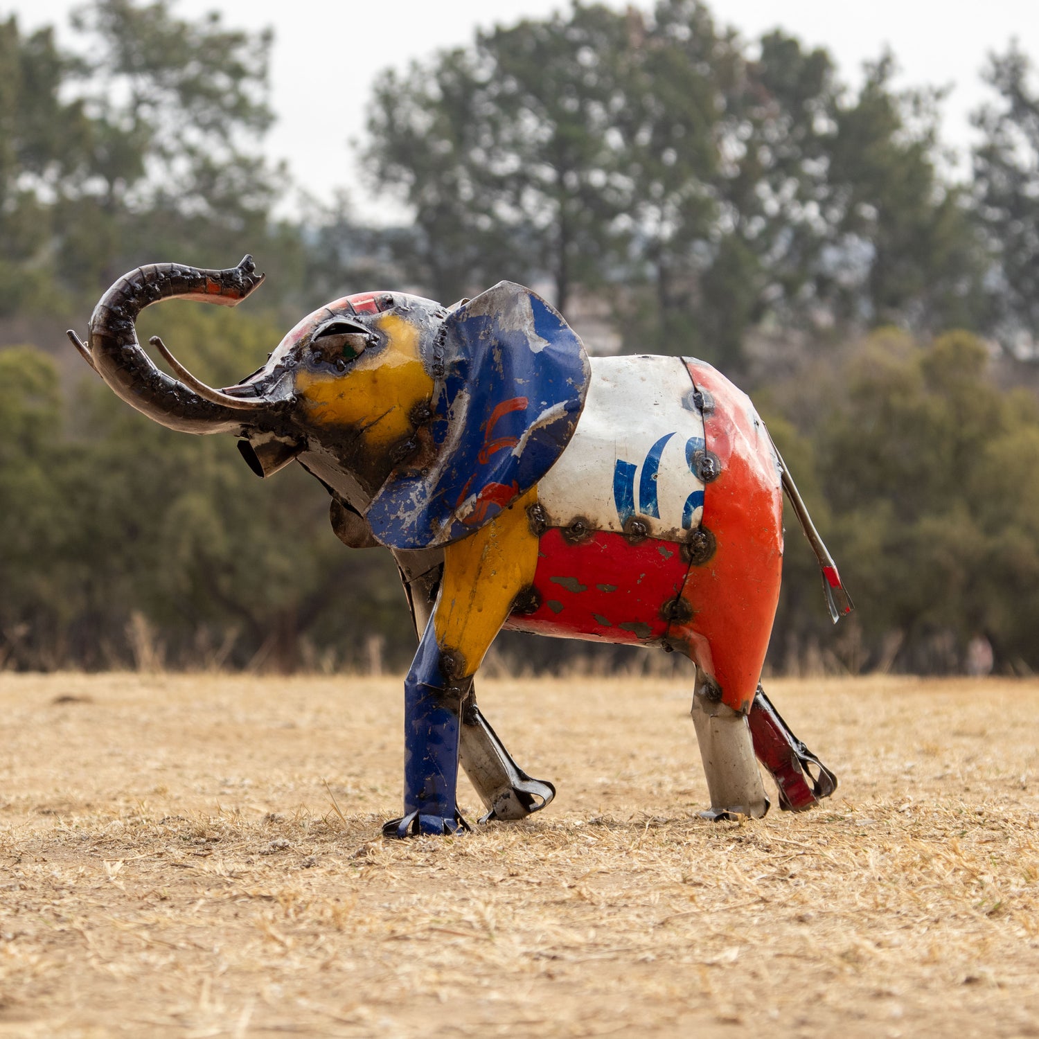 Elephant Coloured
