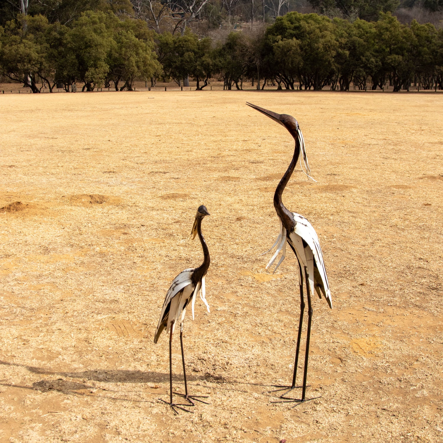 Heron White