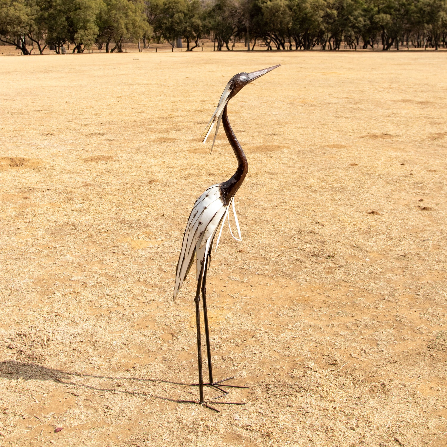 Heron White