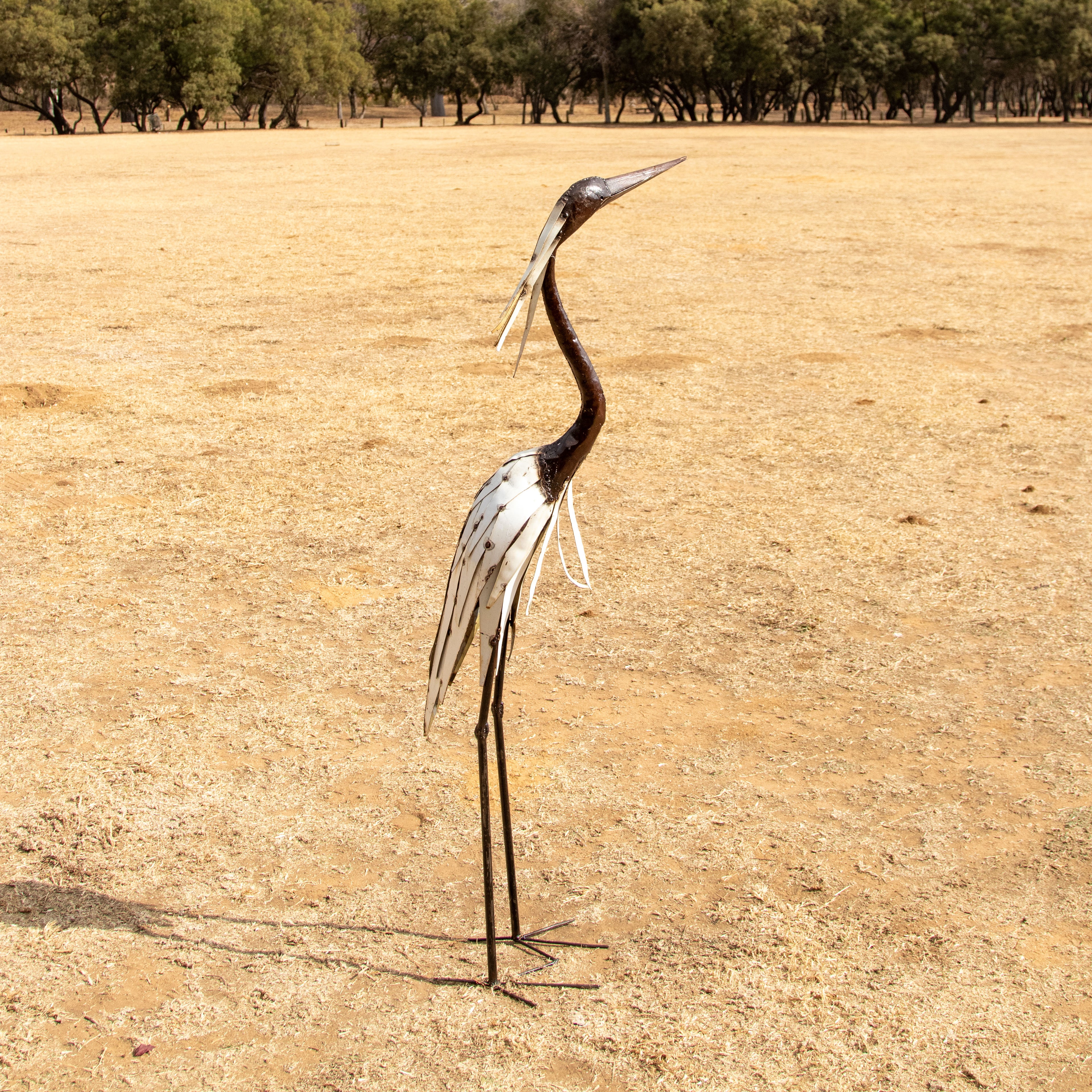 Heron White