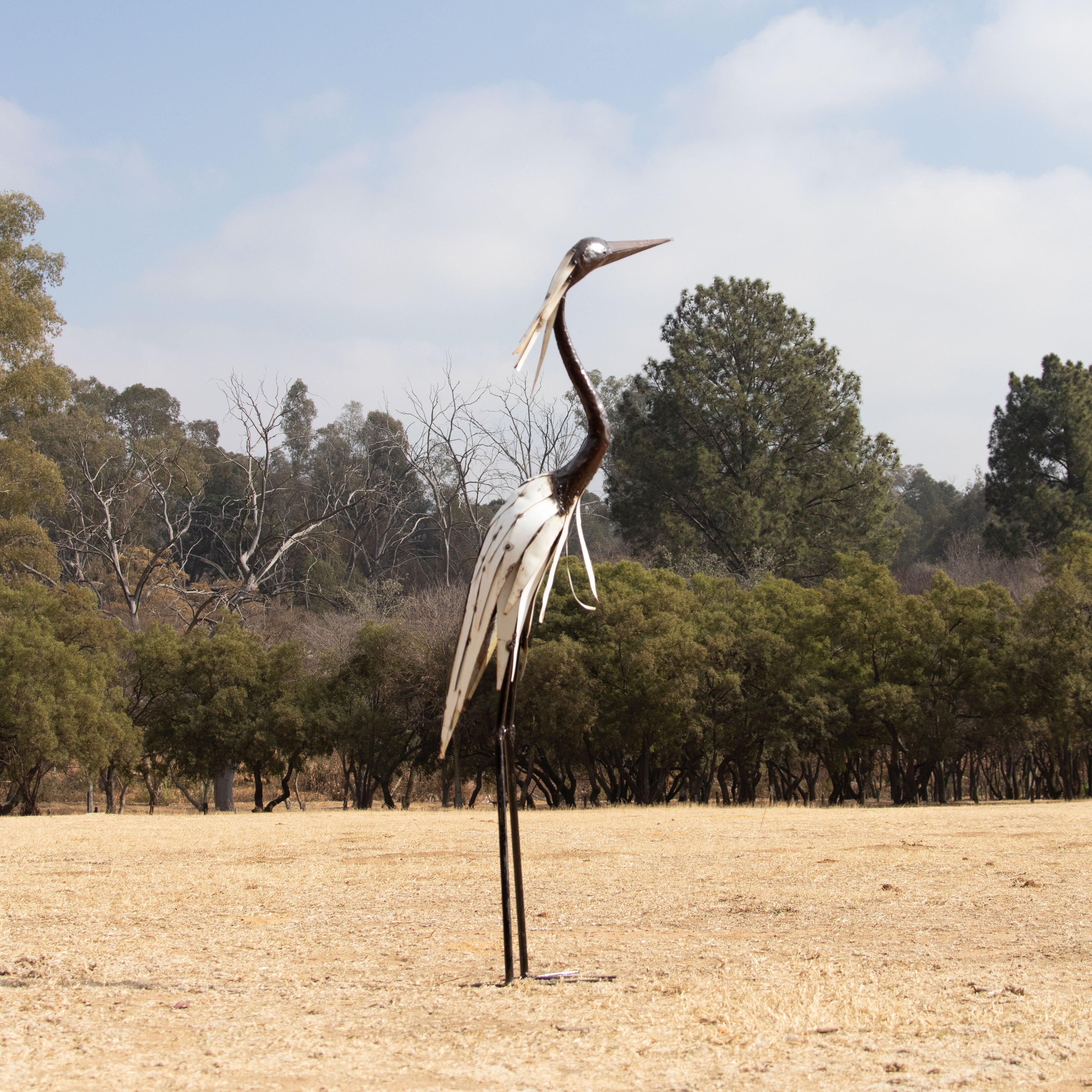 Heron White