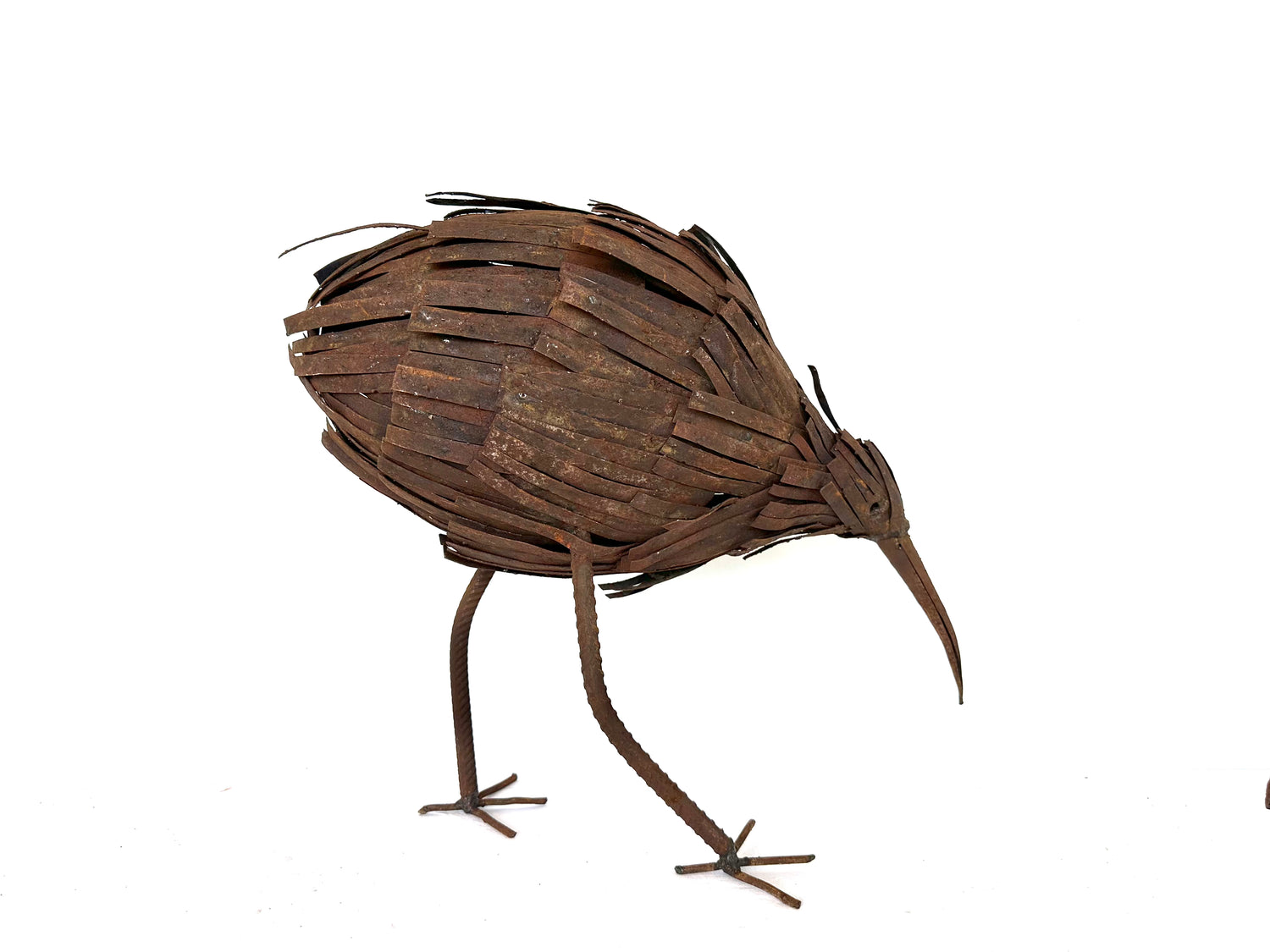 Kiwi