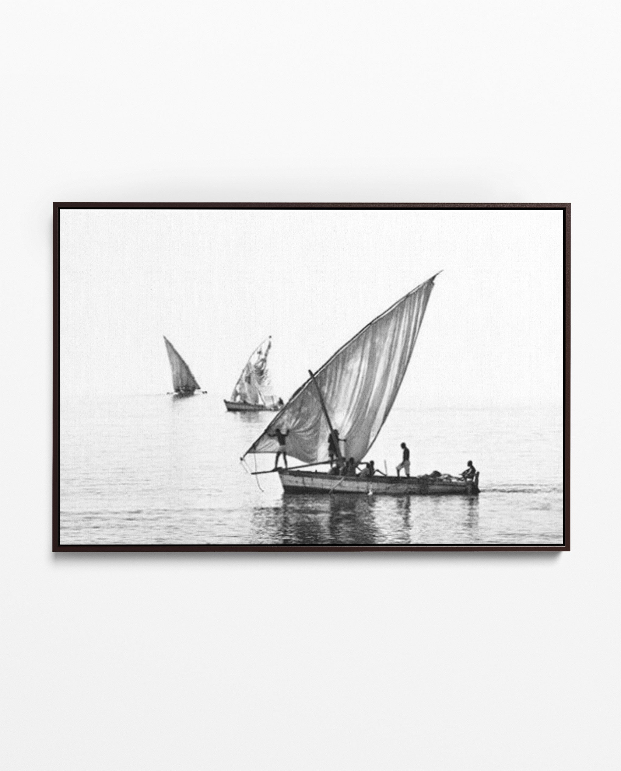 ILHA_28 David Ballam Print Three Dhows under Sail