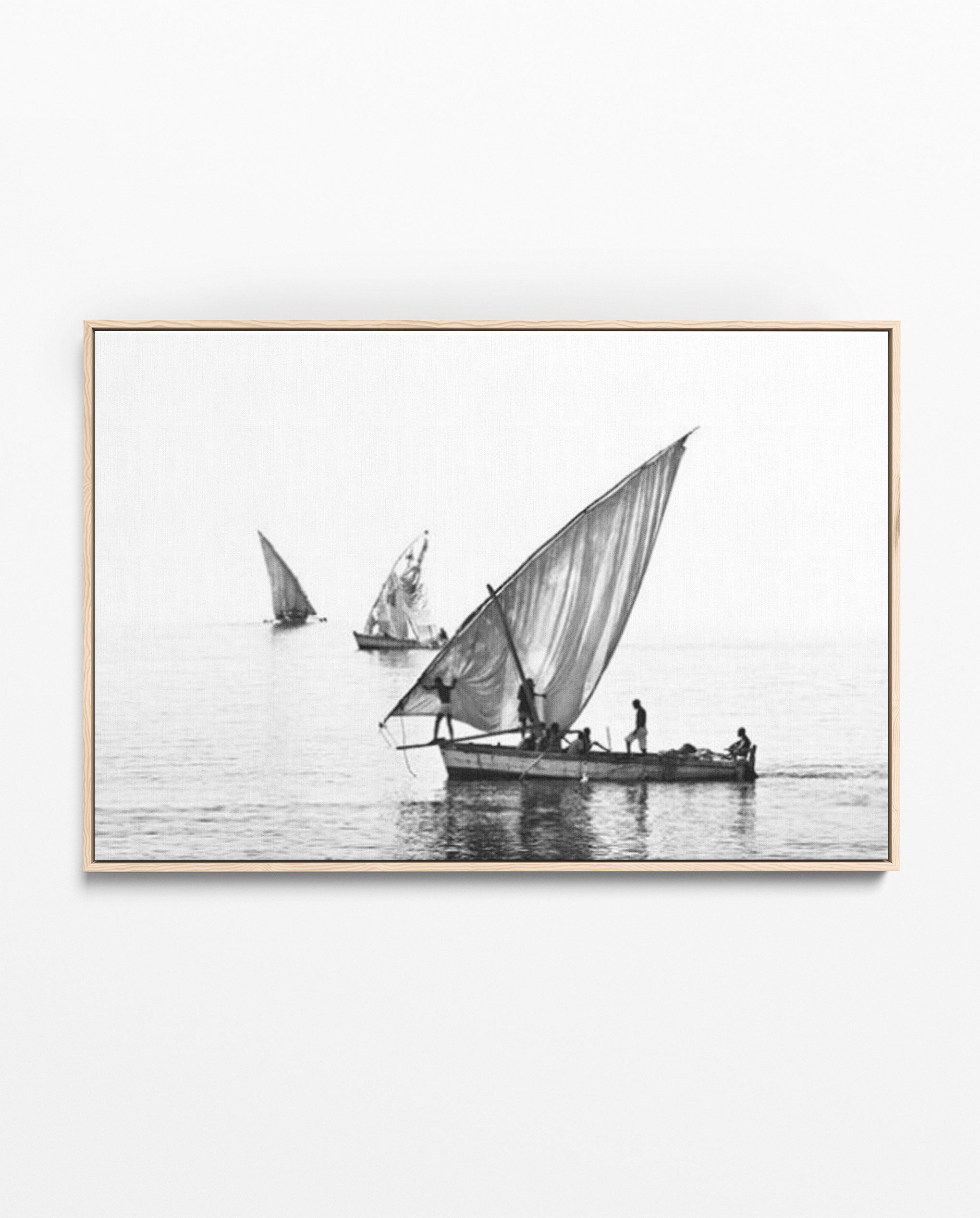 ILHA_28 David Ballam Print Three Dhows under Sail