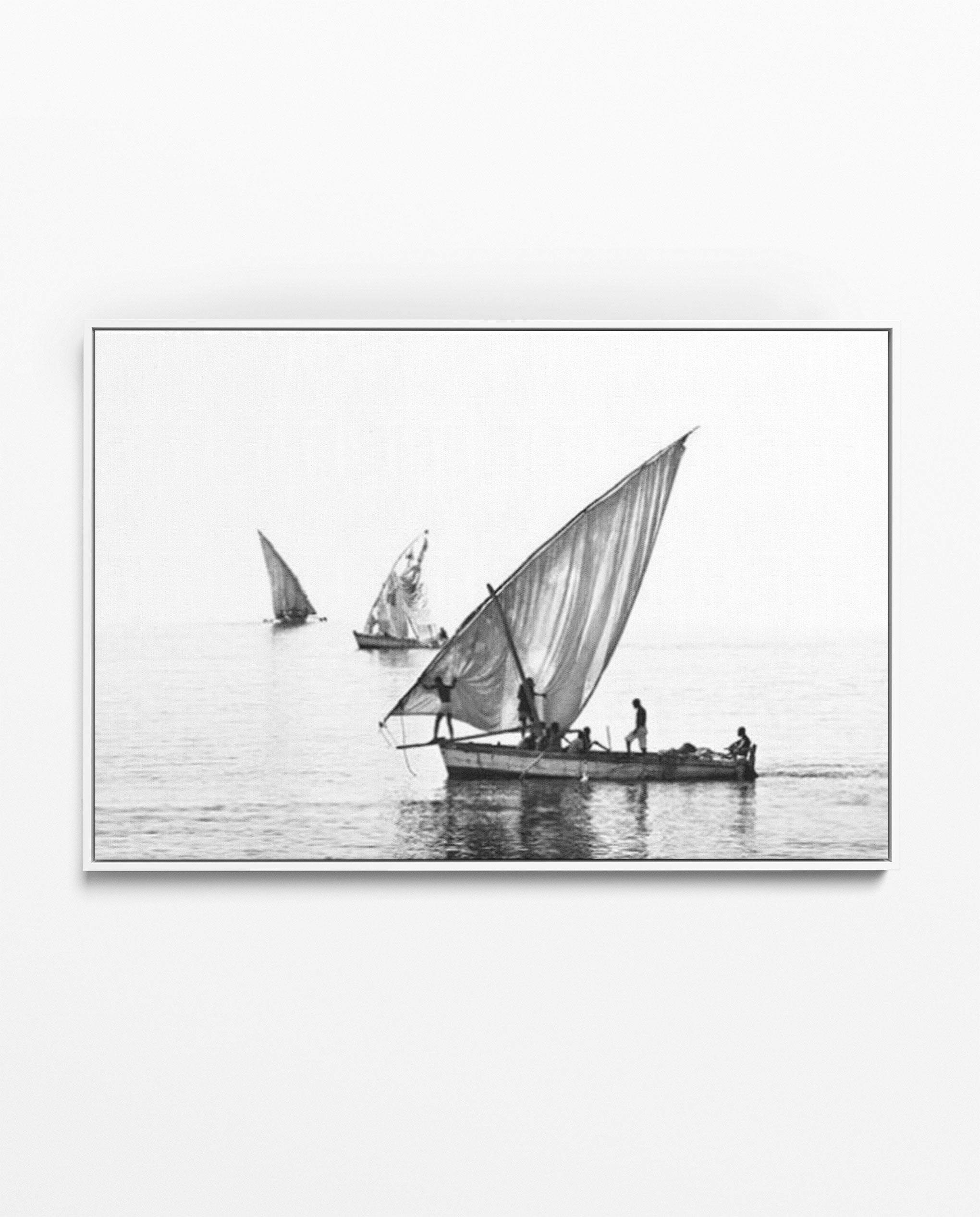 ILHA_28 David Ballam Print Three Dhows under Sail