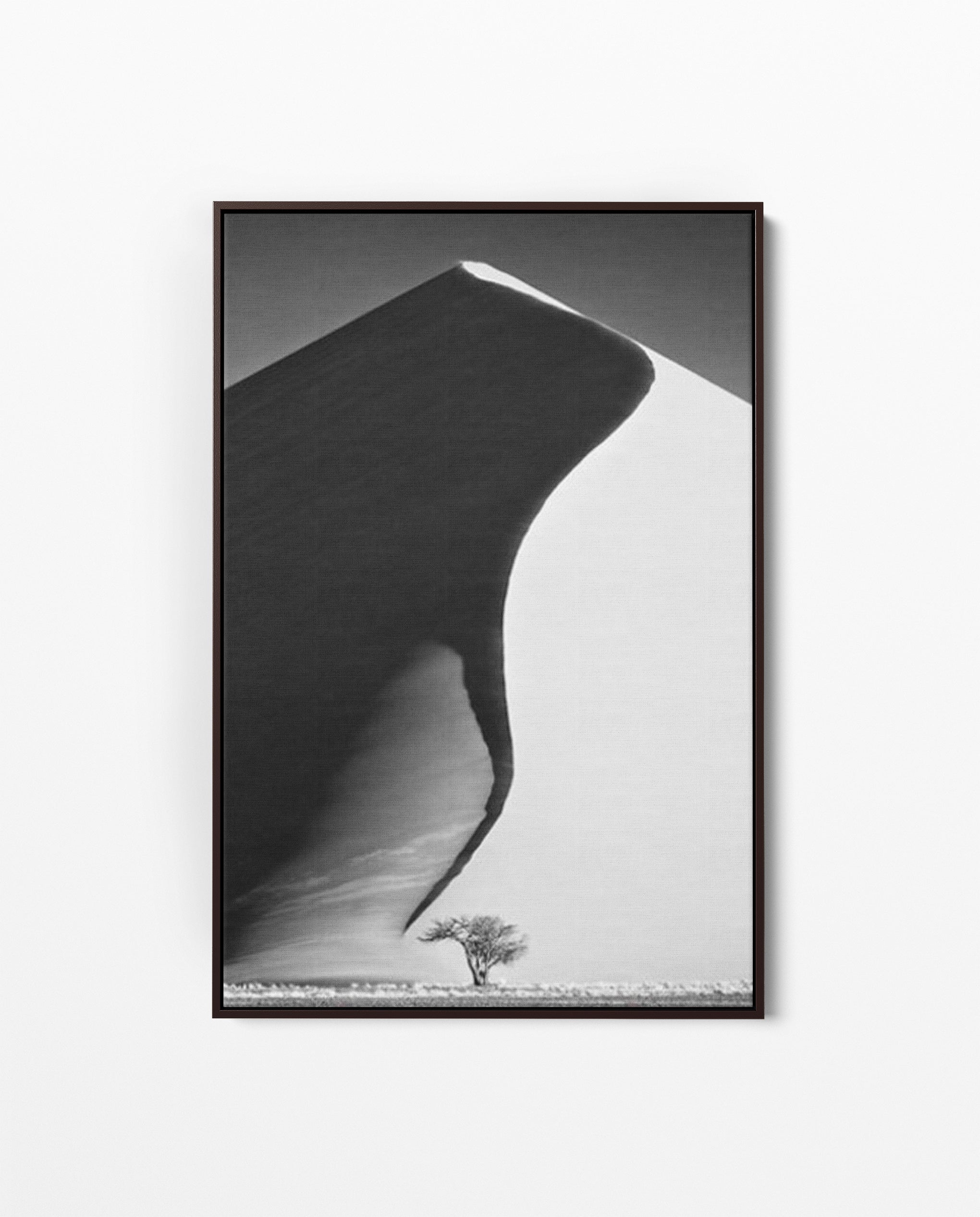 NAM_01 David Ballam Print Dune and Tree