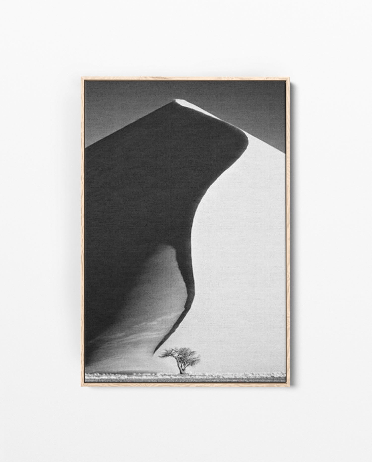 NAM_01 David Ballam Print Dune and Tree