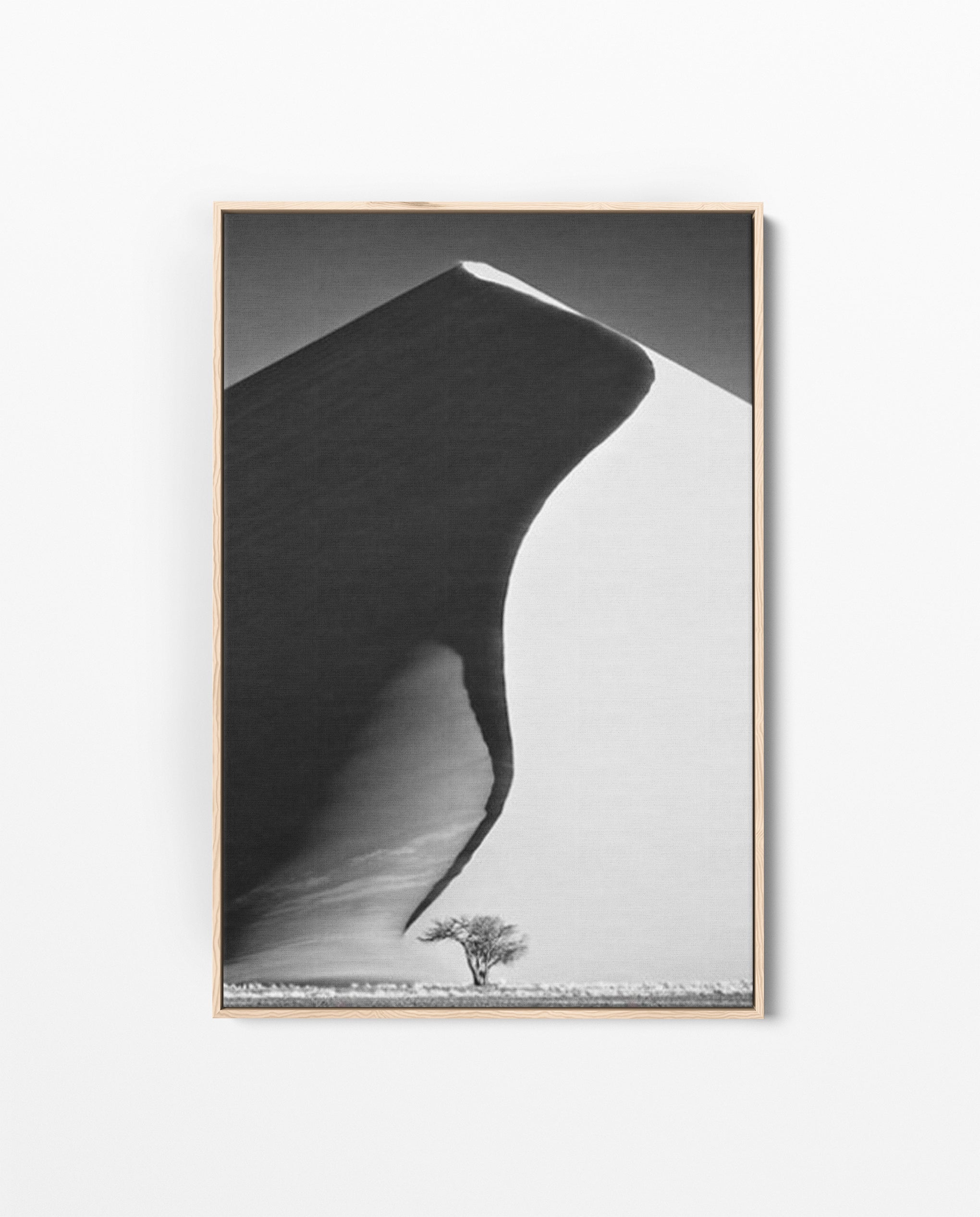 NAM_01 David Ballam Print Dune and Tree