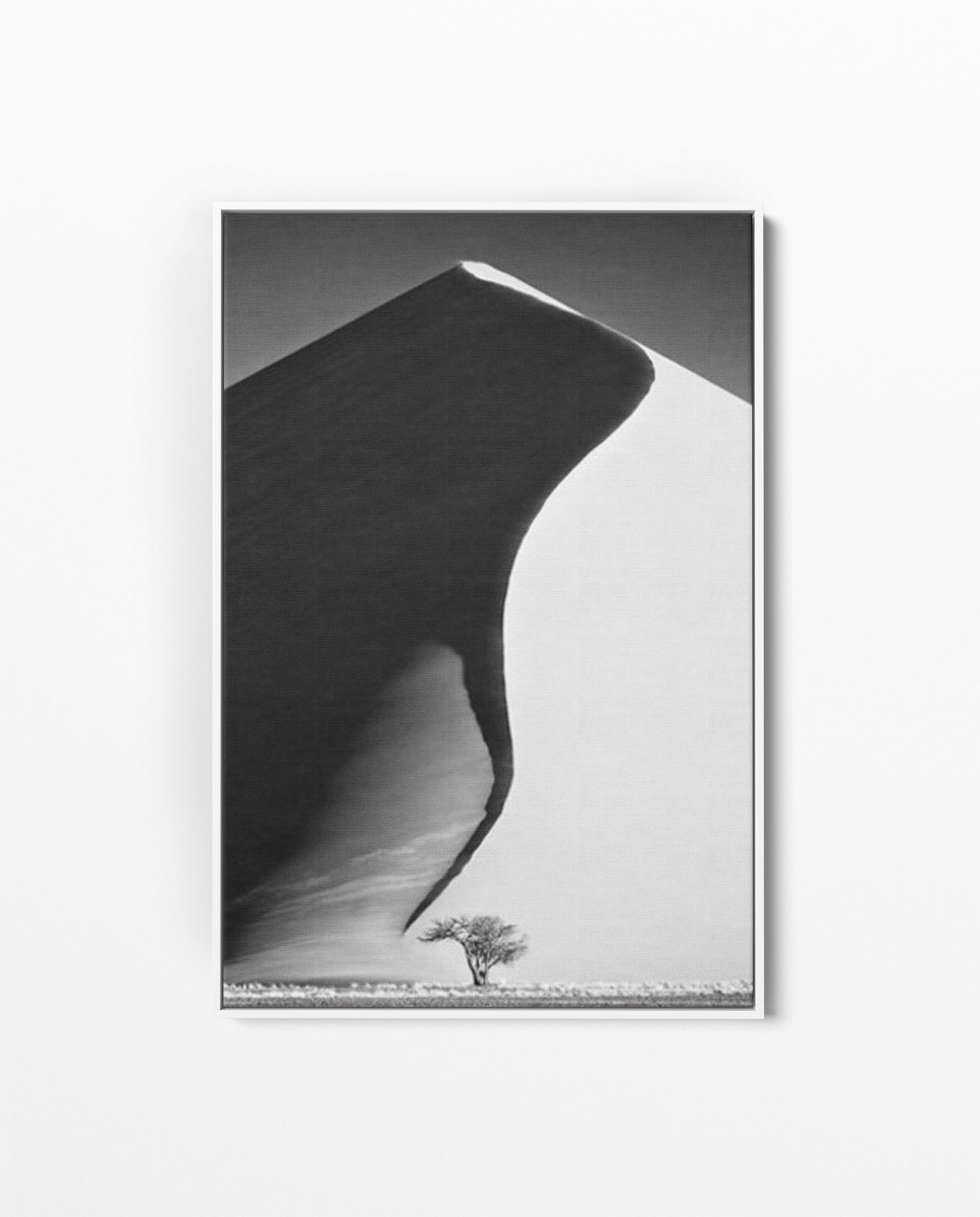 NAM_01 David Ballam Print Dune and Tree