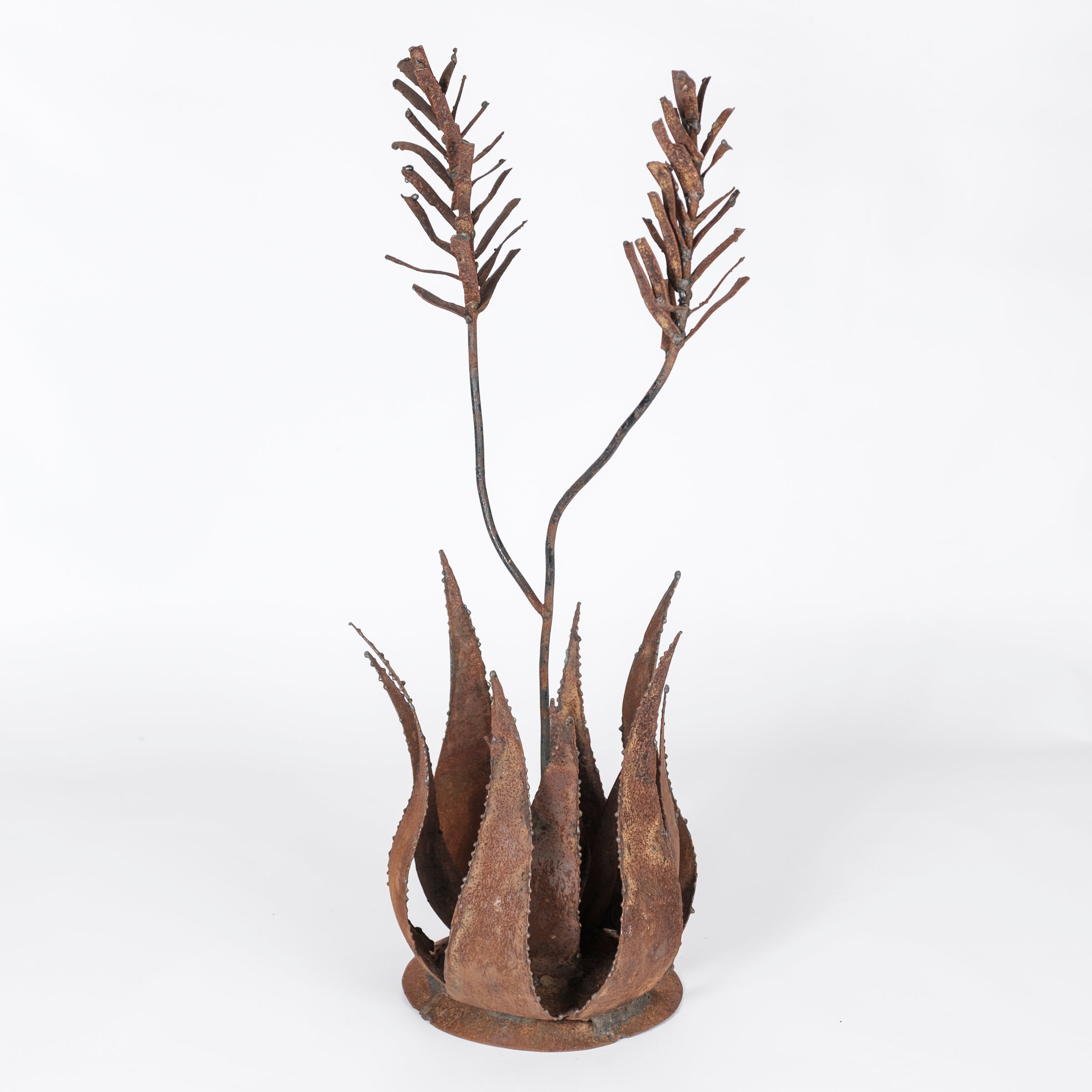 Aloe