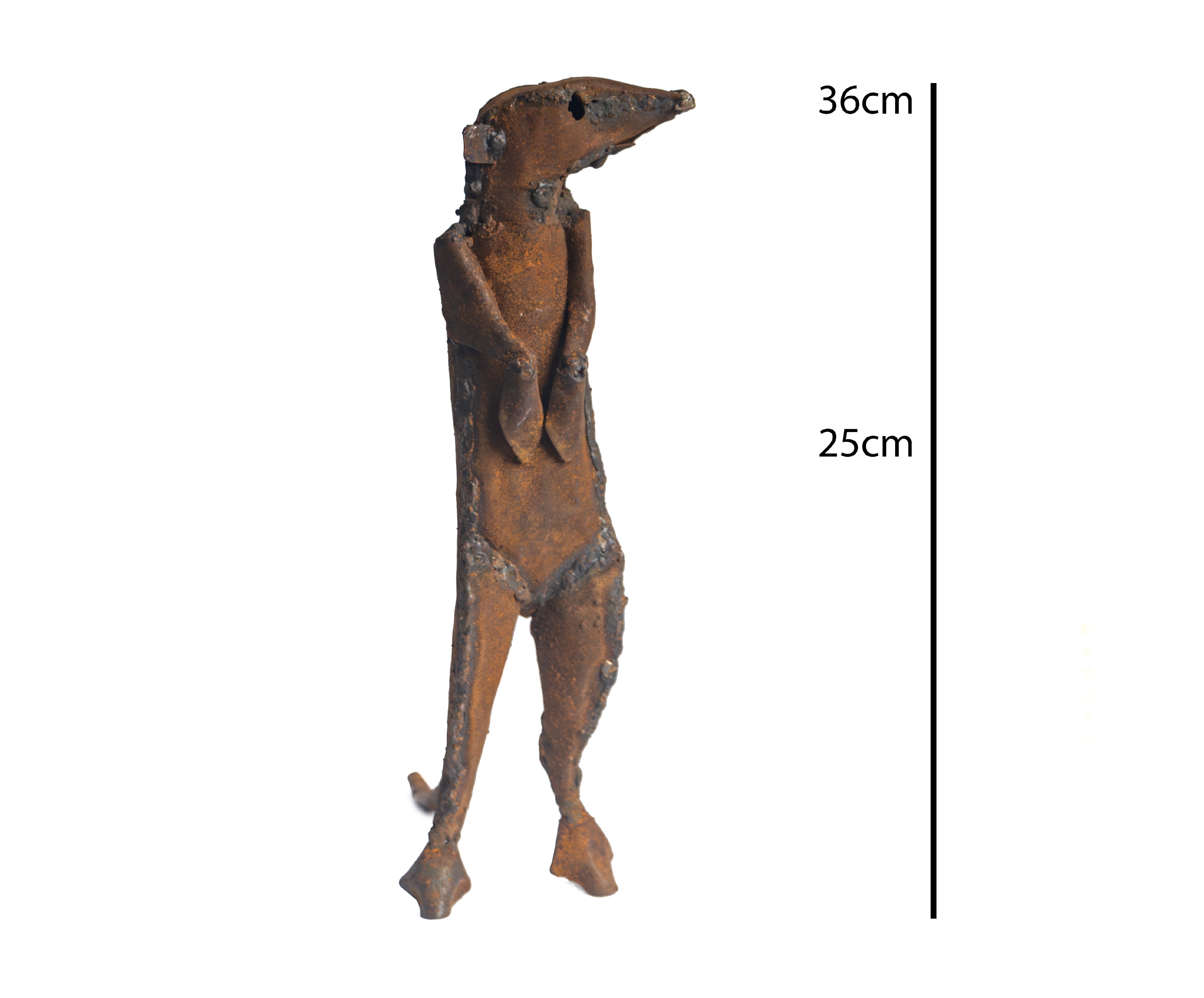 Meerkat