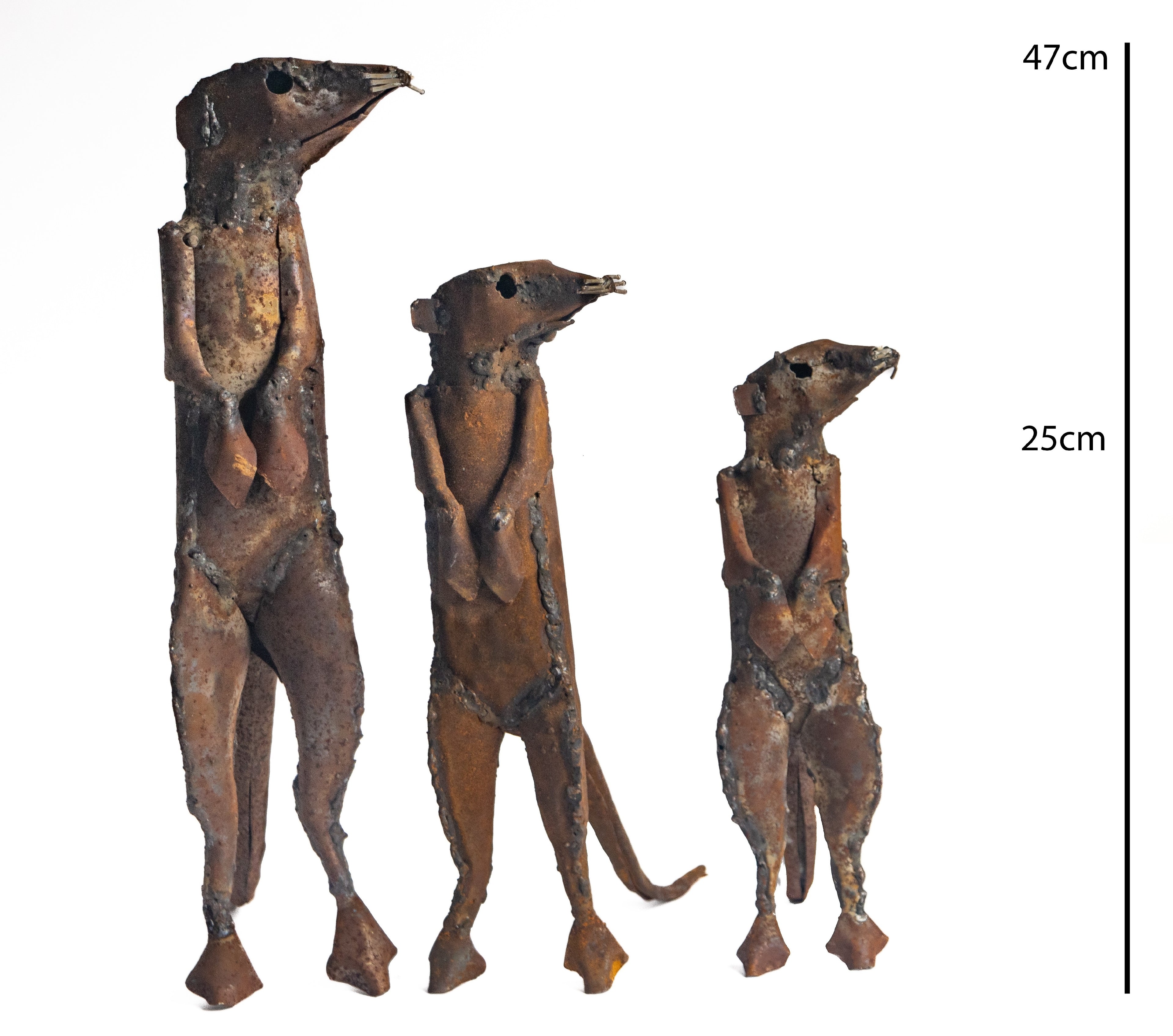 Meerkat Family