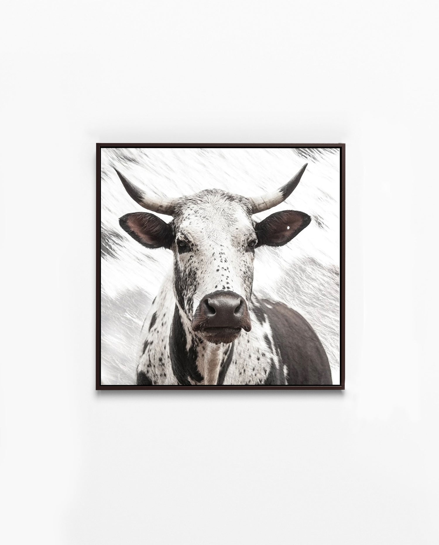 Nguni