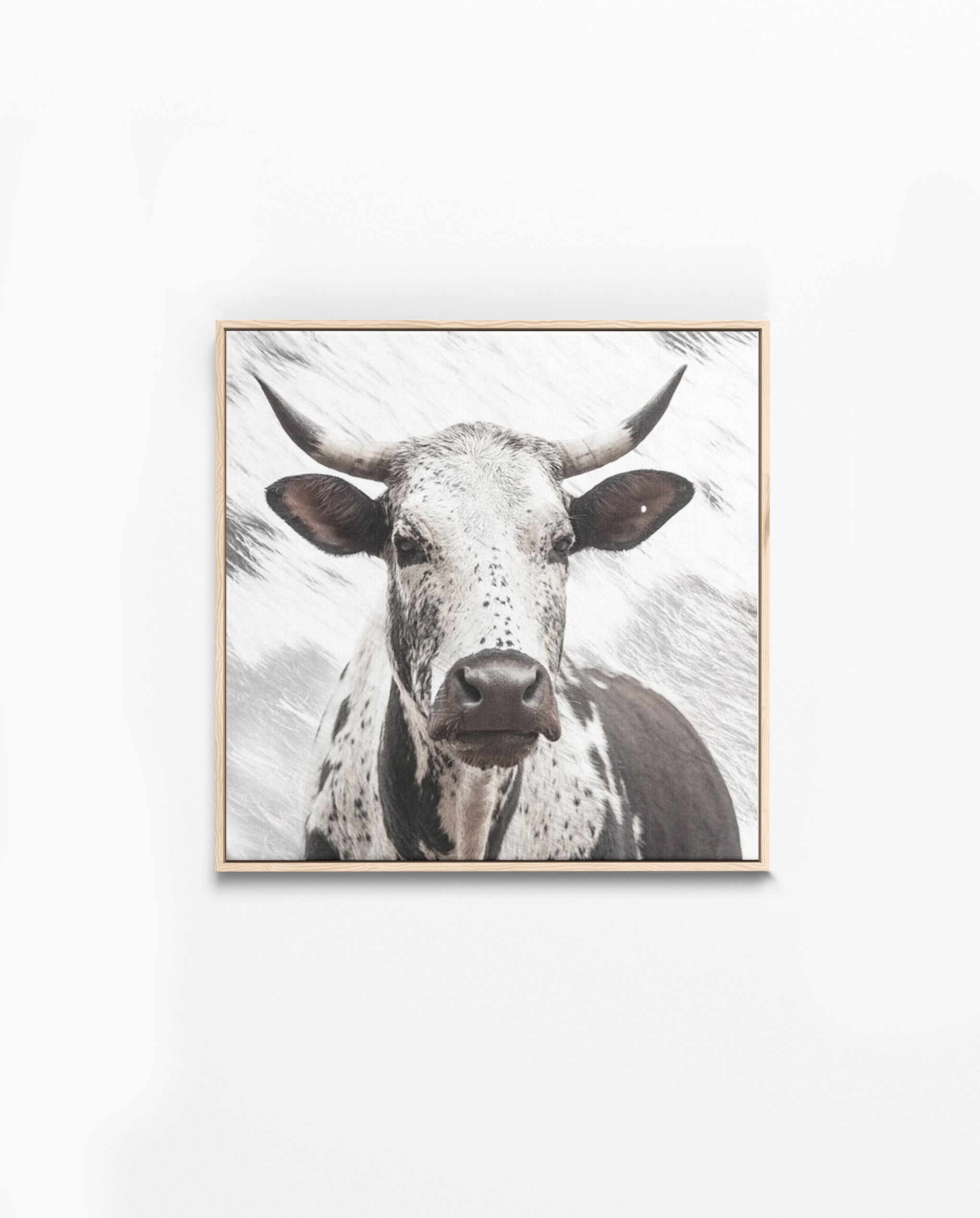 Nguni