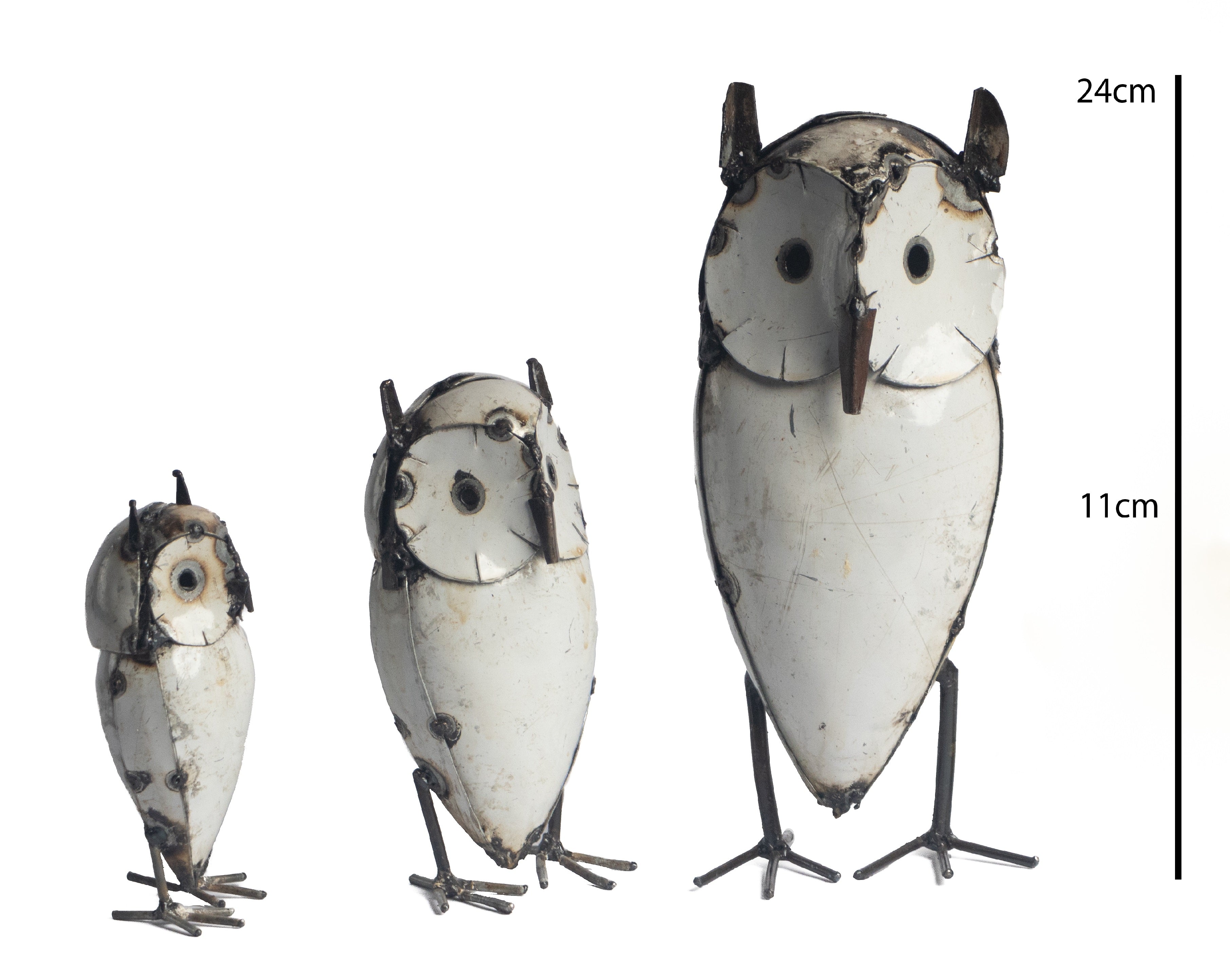 Owl White With Ears