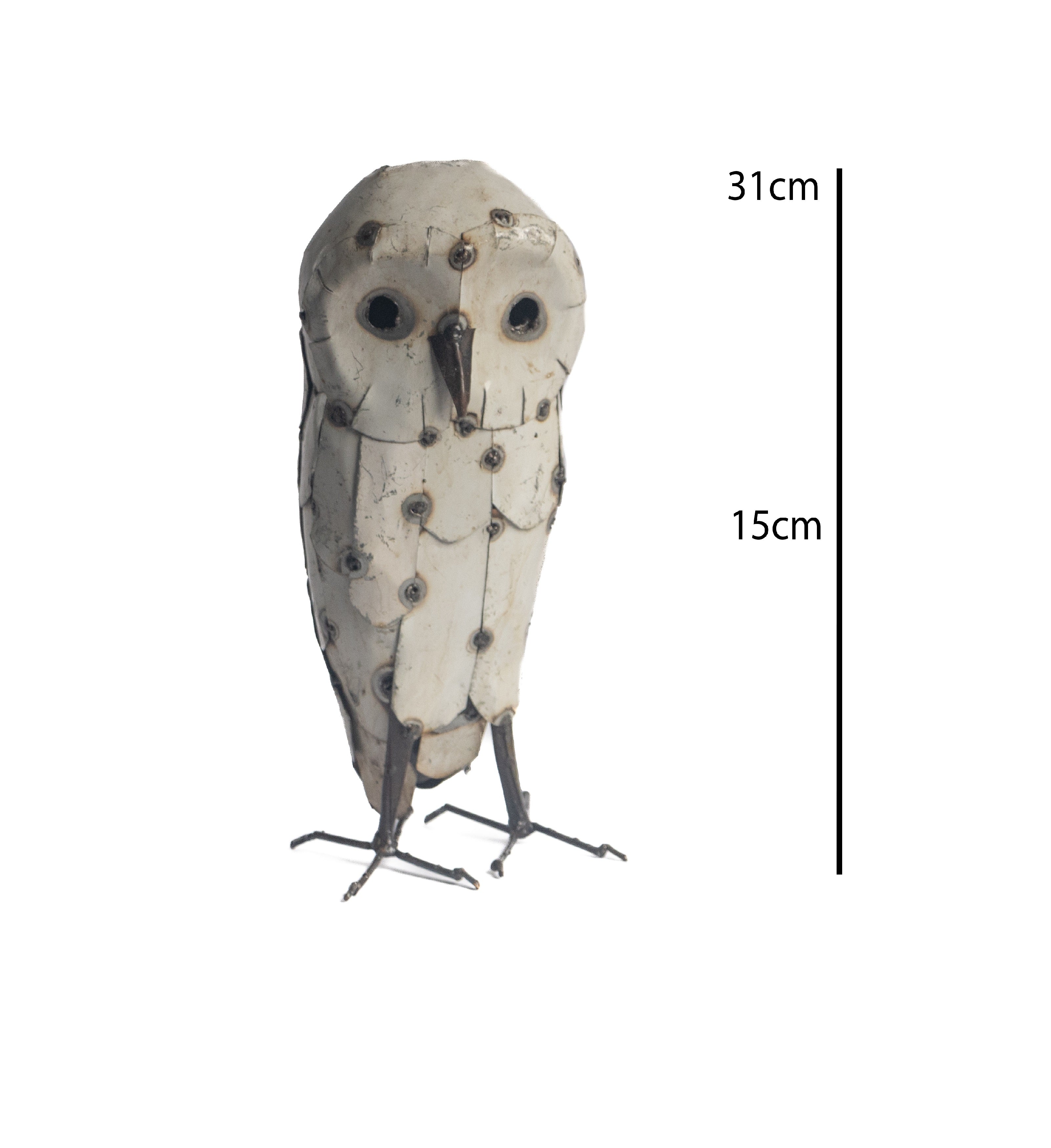 Owl White Without Ears