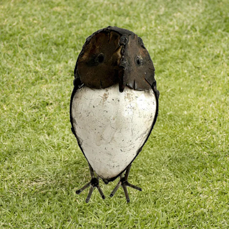 Owl Brown