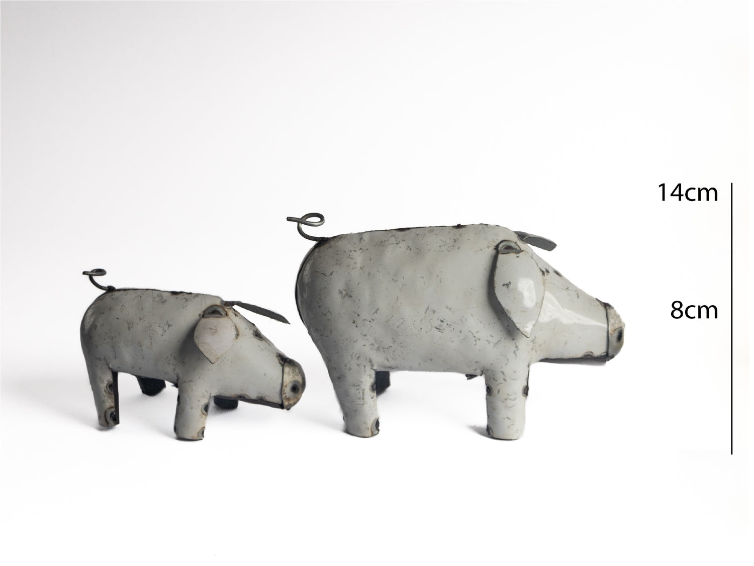 Pig