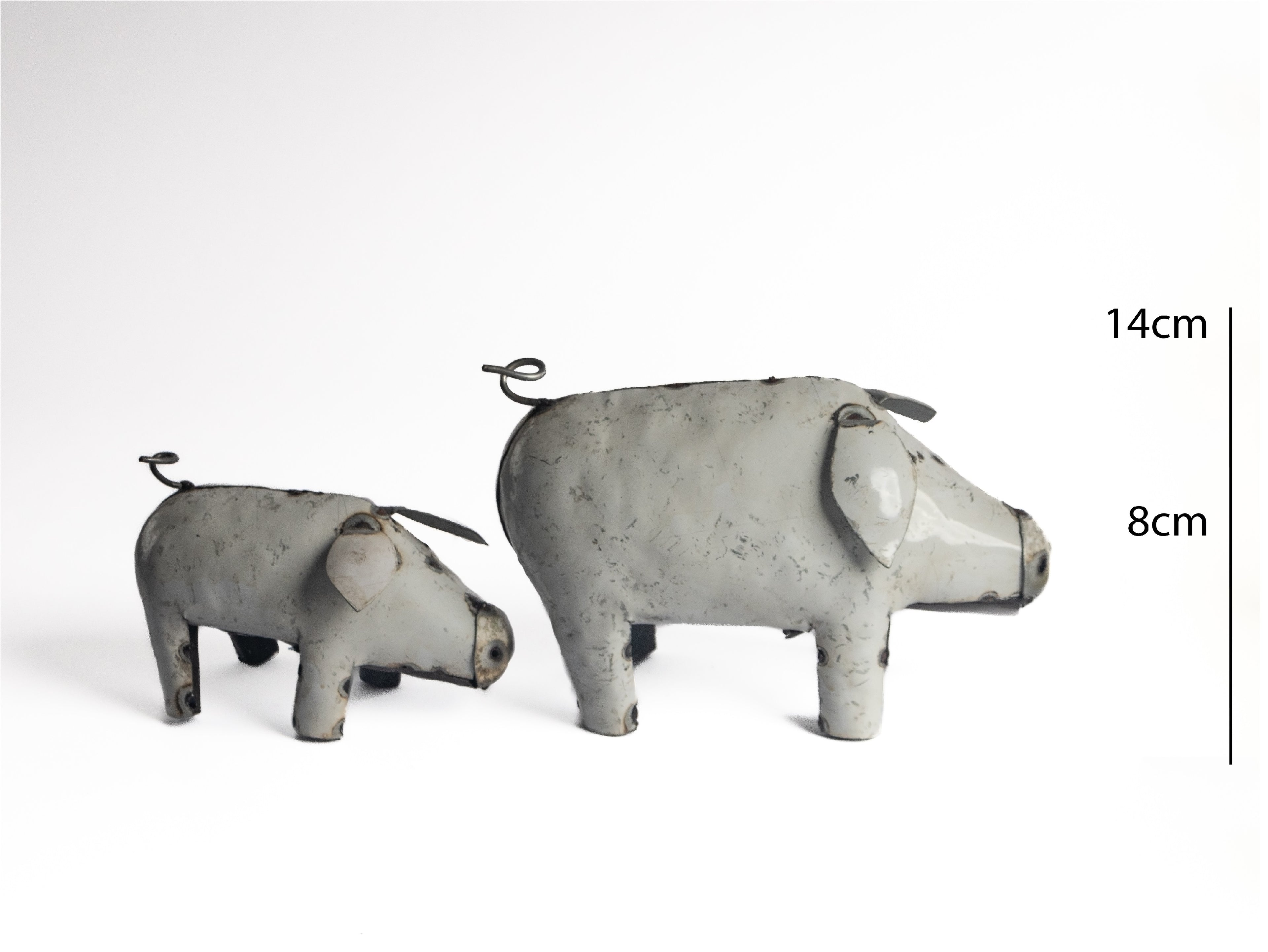 Pig