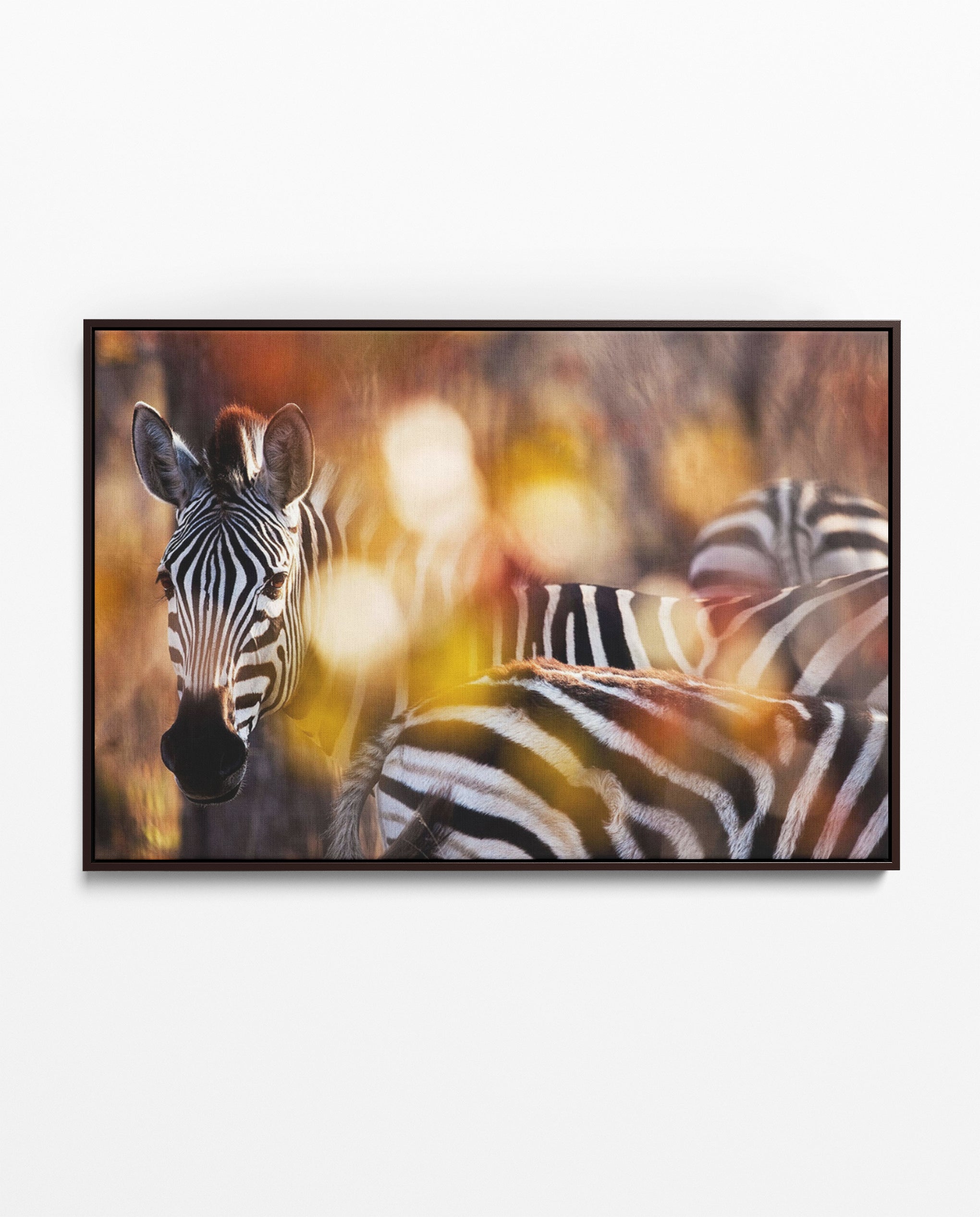 RDT_175 Richard Du Toit Print Zebra Colour