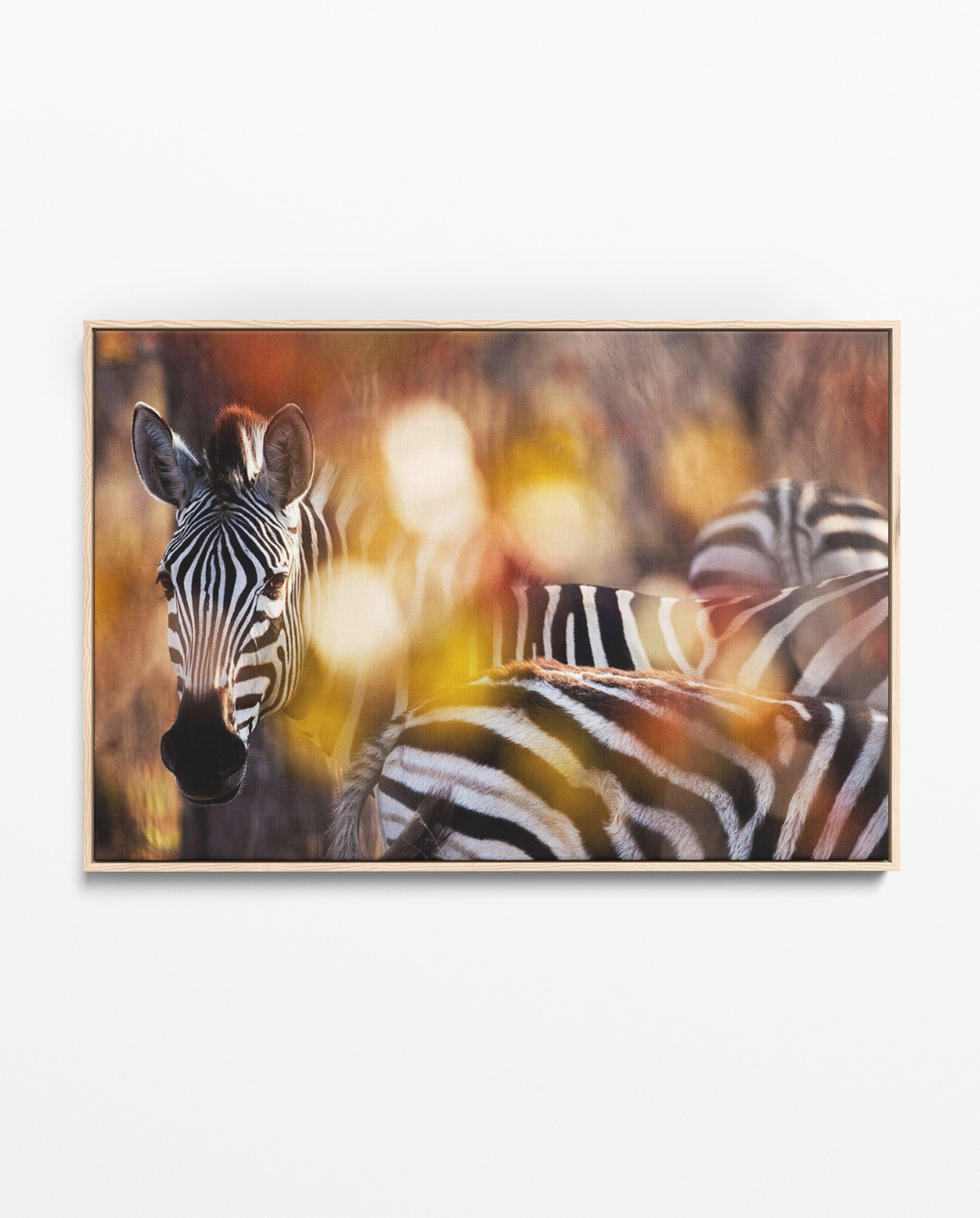 RDT_175 Richard Du Toit Print Zebra Colour