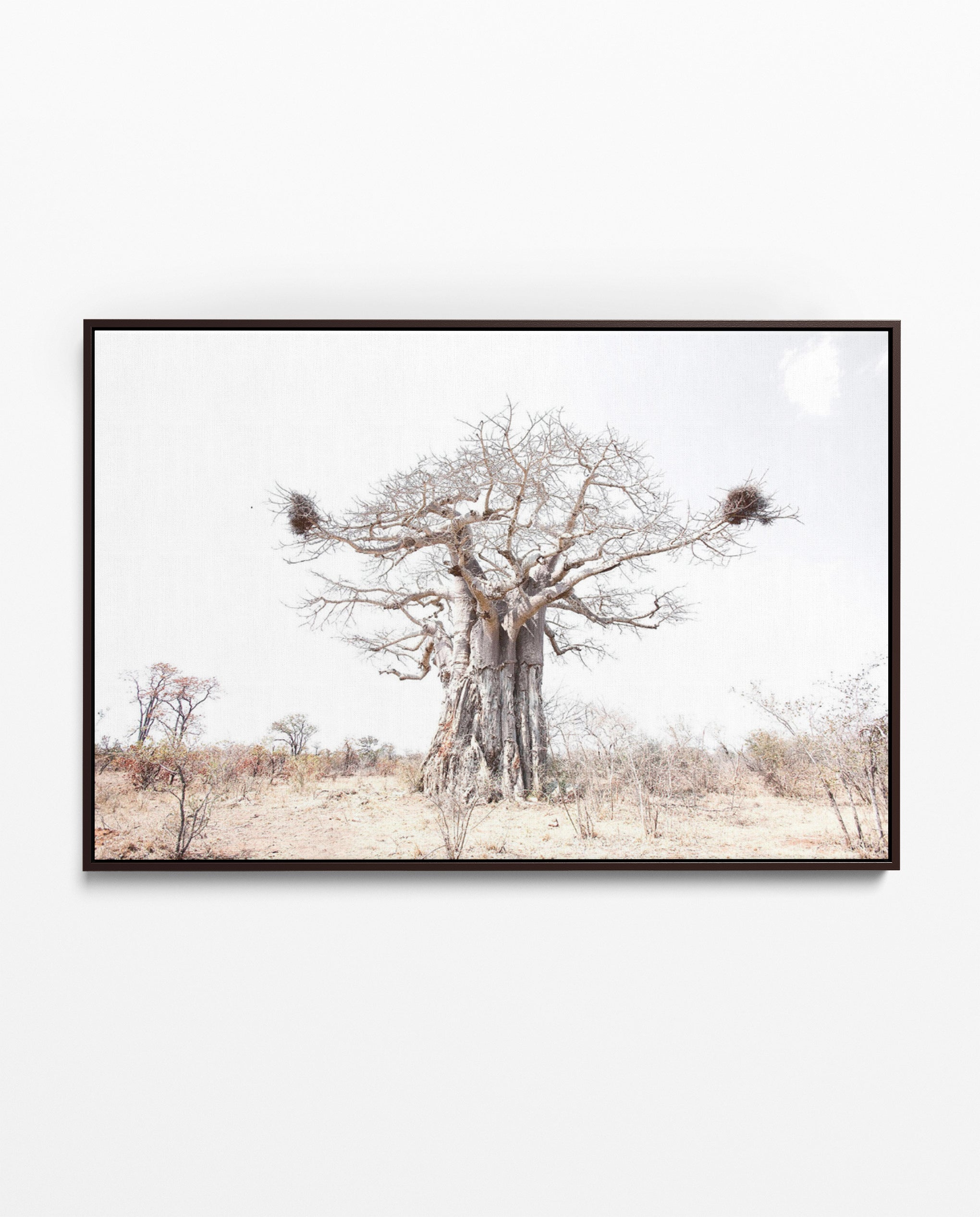 Richard Du Toit Print Flora RDT_183