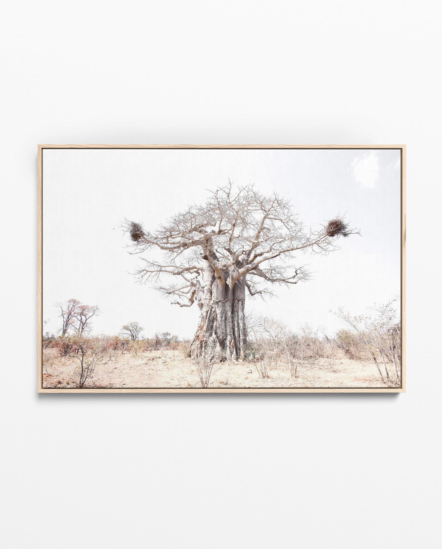 RDT_183 Richard Du Toit Print Baobab with Nests