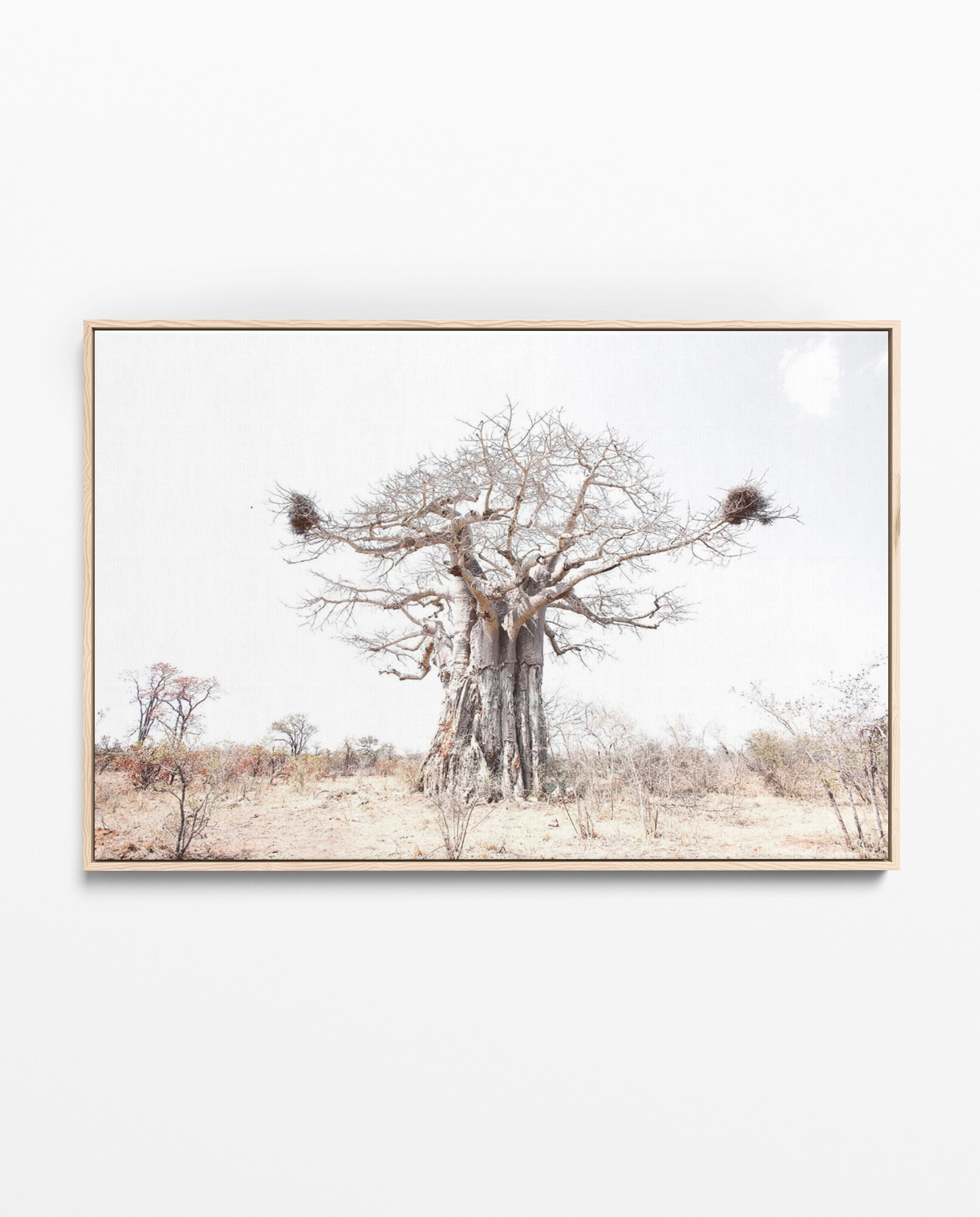 Richard Du Toit Print Flora RDT_183