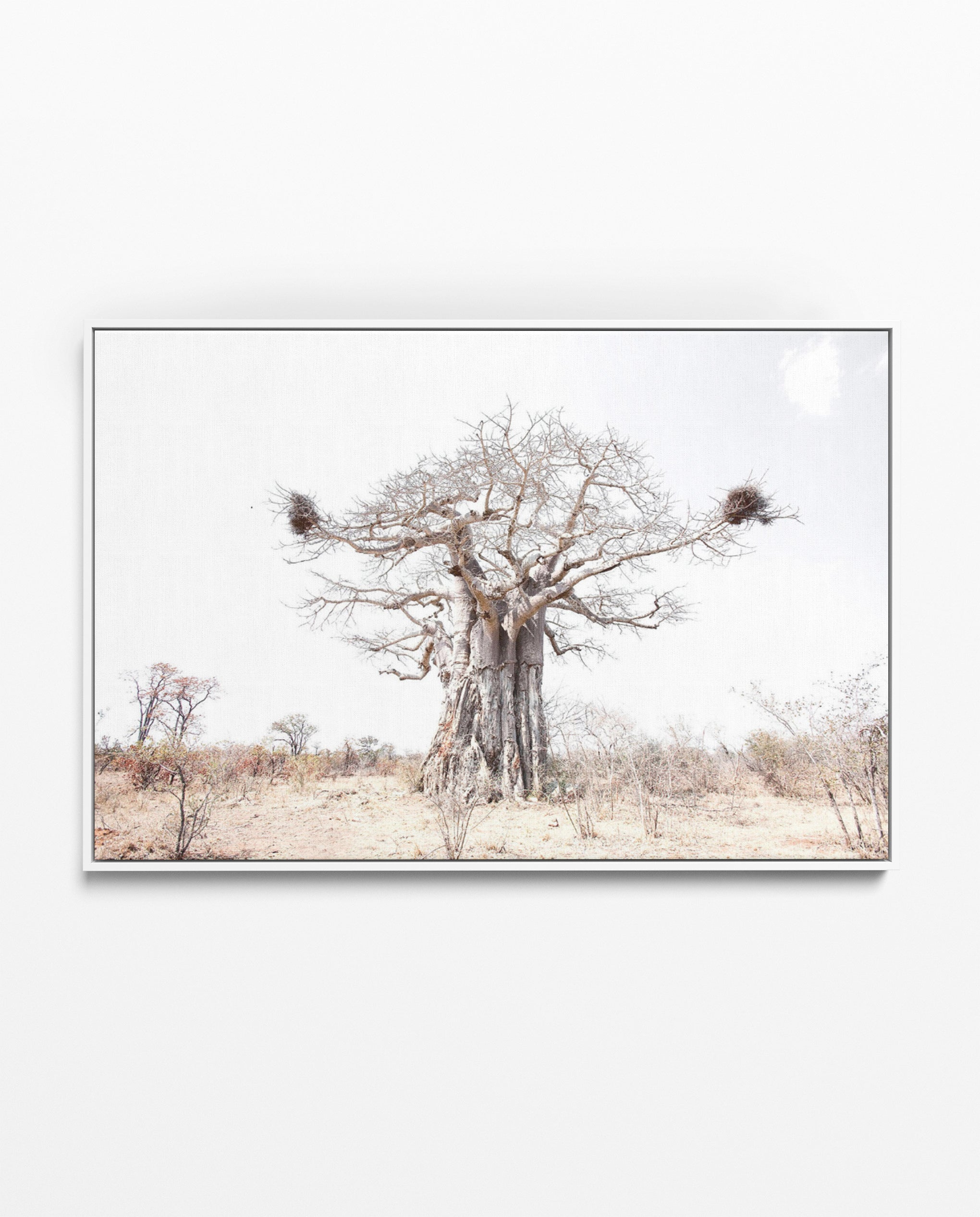 Richard Du Toit Print Flora RDT_183