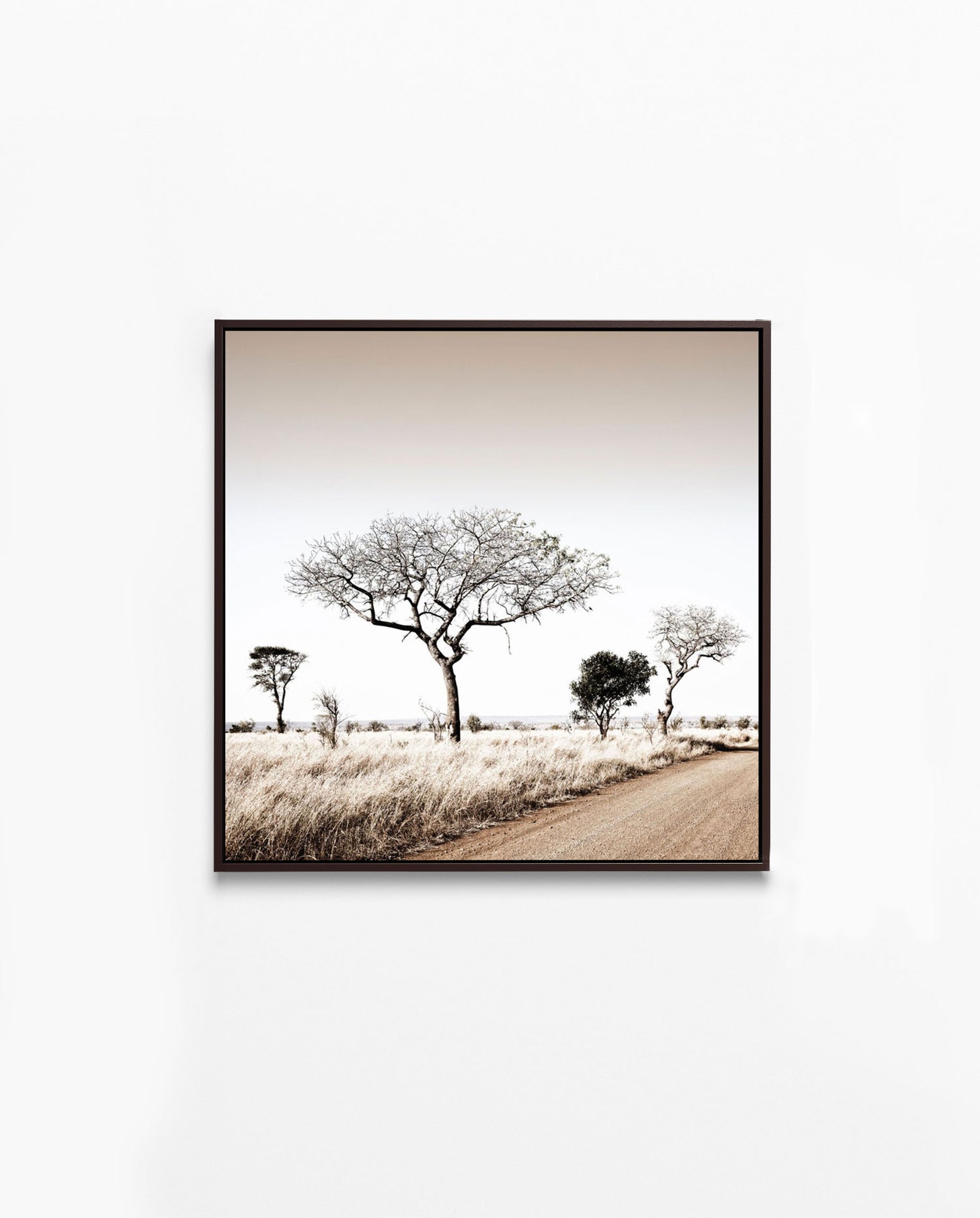 RDT_448 Richard Du Toit Print Thorn Trees