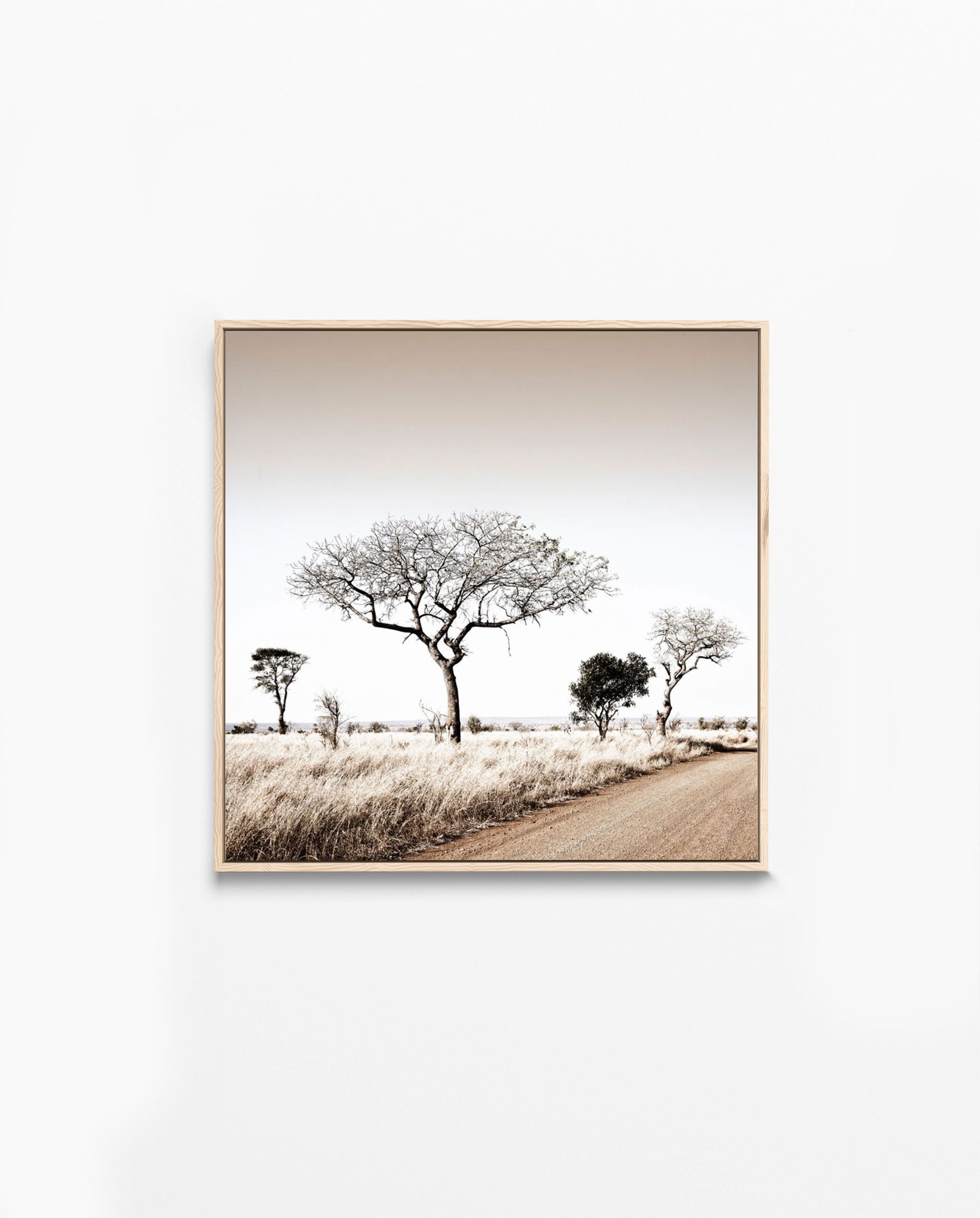 RDT_448 Richard Du Toit Print Thorn Trees