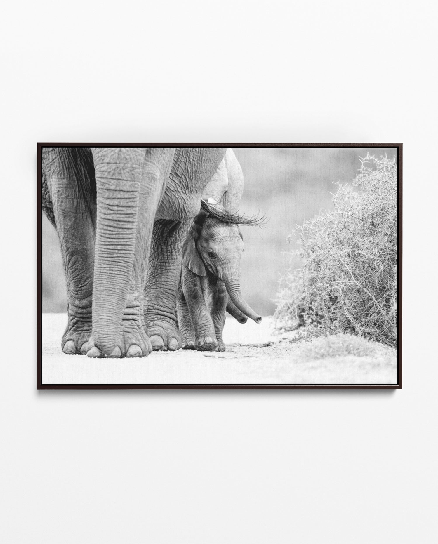 RDT_472 Richard Du Toit Print Elephant and Calf