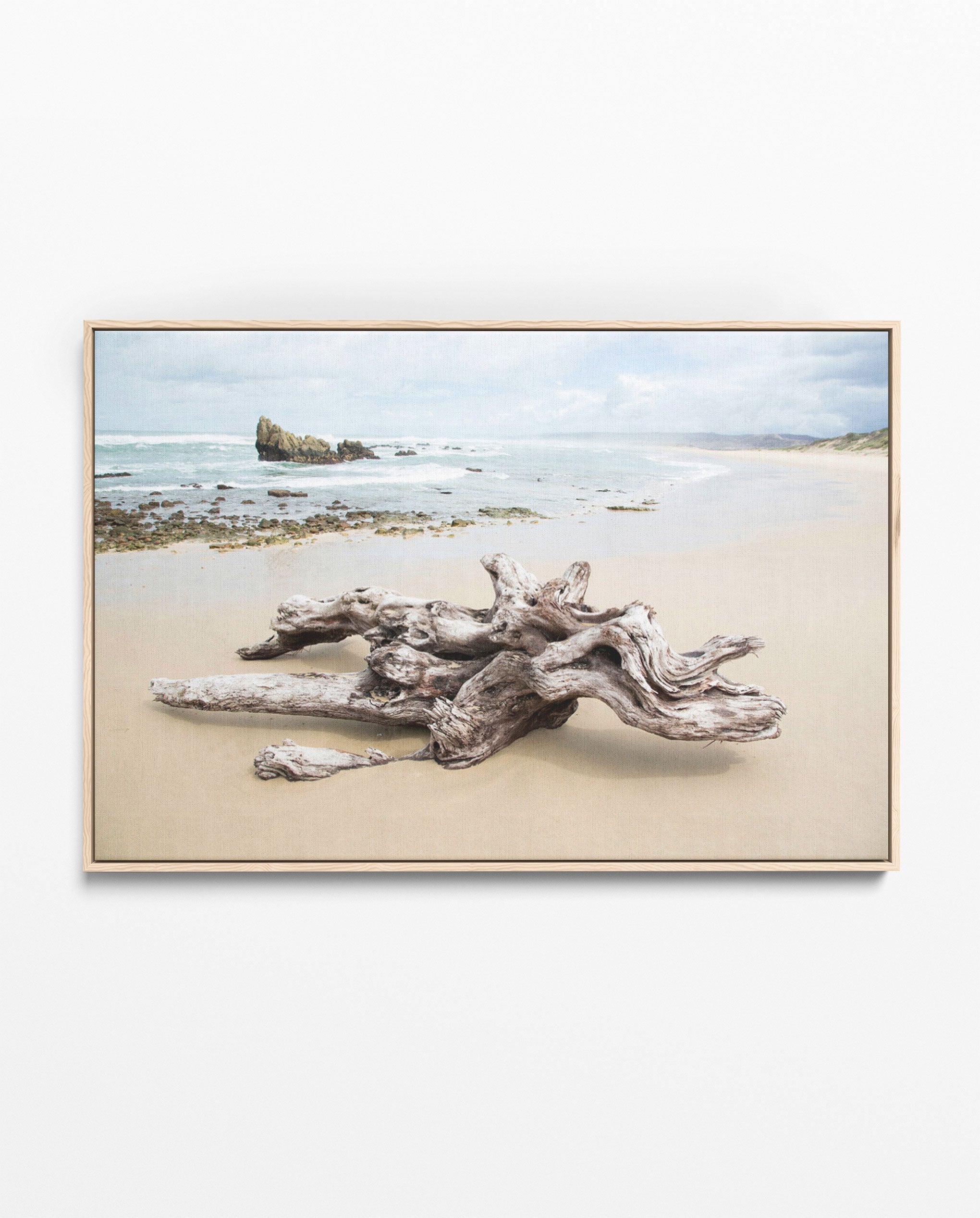 RDT_344 Richard Du Toit Print Drift Wood