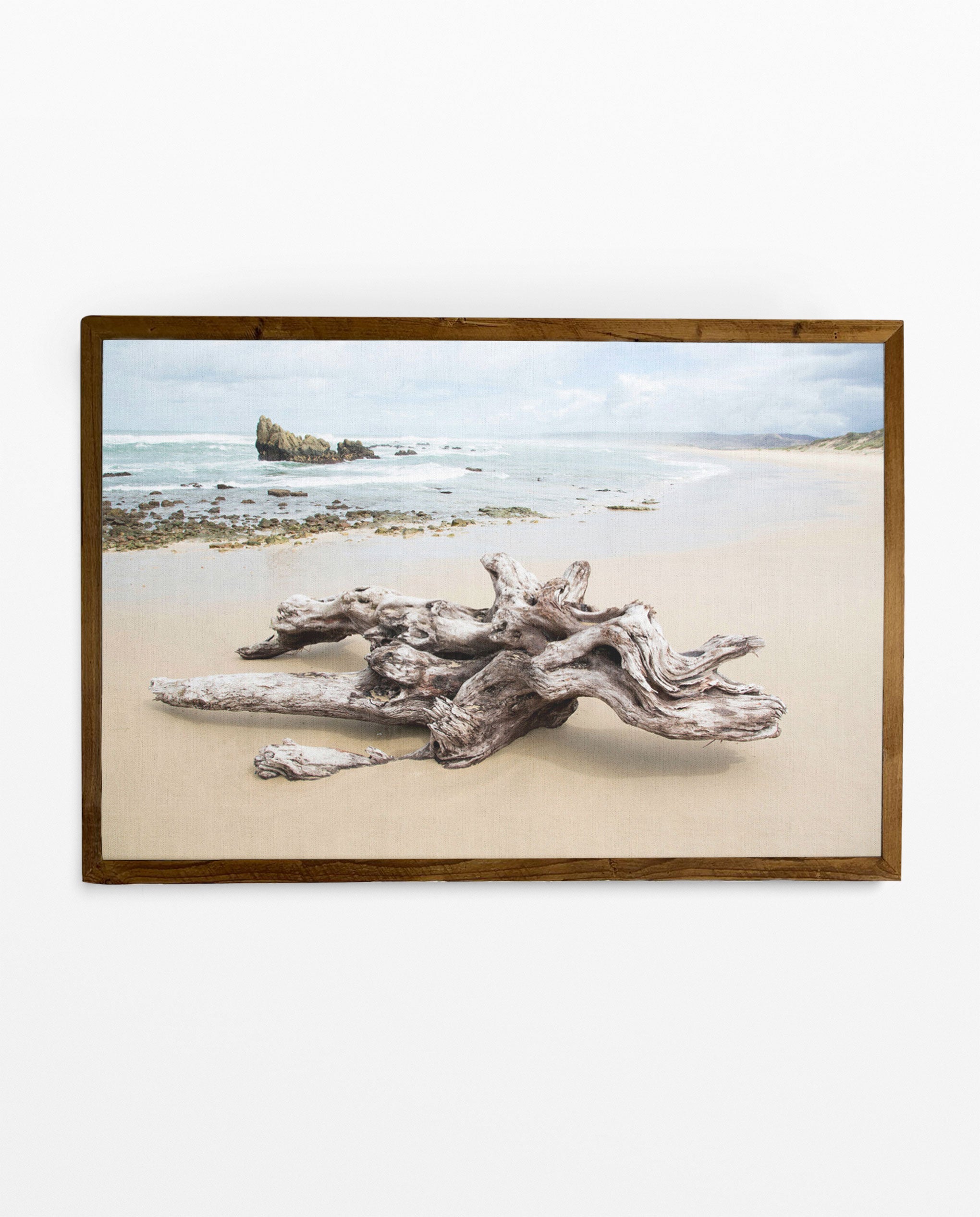 RDT_344 Richard Du Toit Print Drift Wood