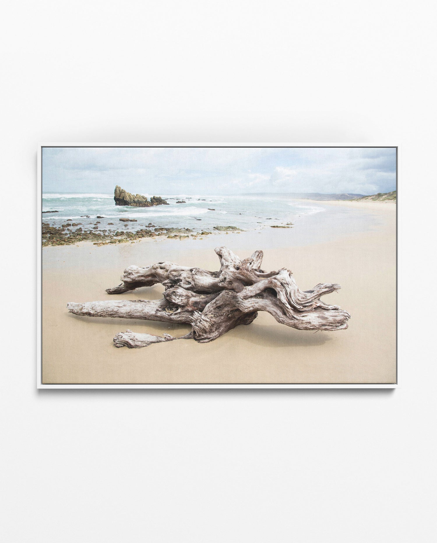 RDT_344 Richard Du Toit Print Drift Wood