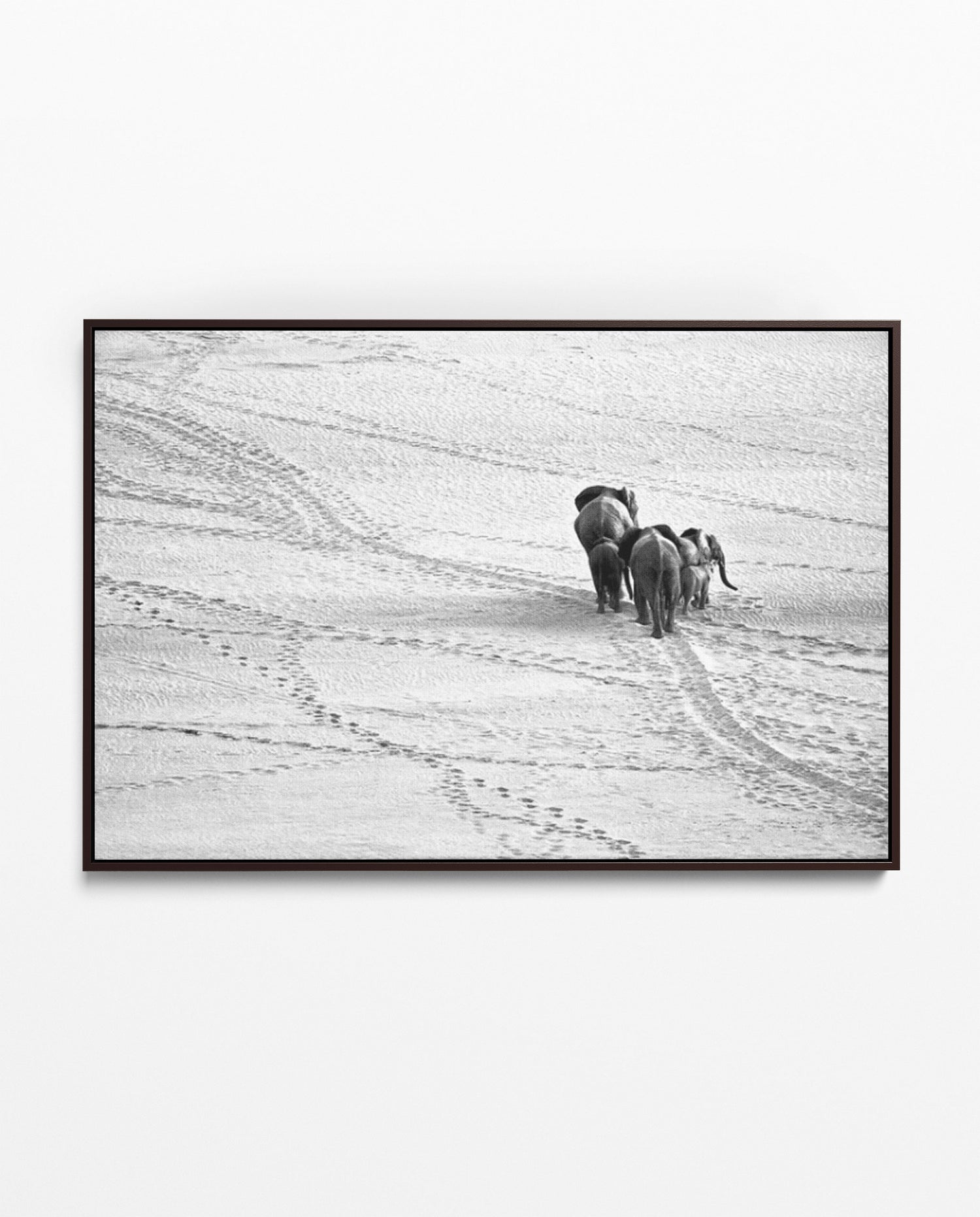 RDT_187 Richard Du Toit Print Elephant Herd in Desert