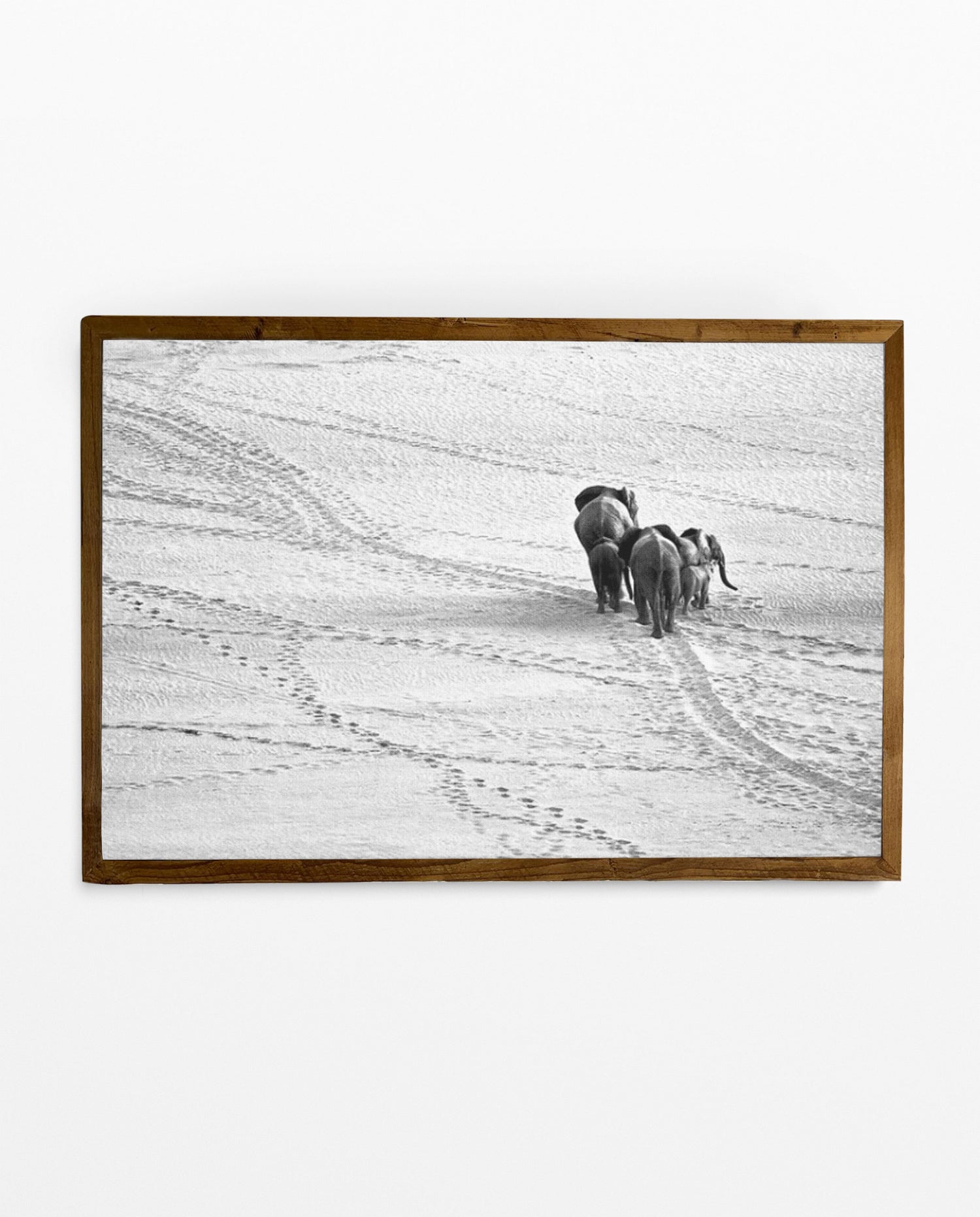 RDT_187 Richard Du Toit Print Elephant Herd in Desert
