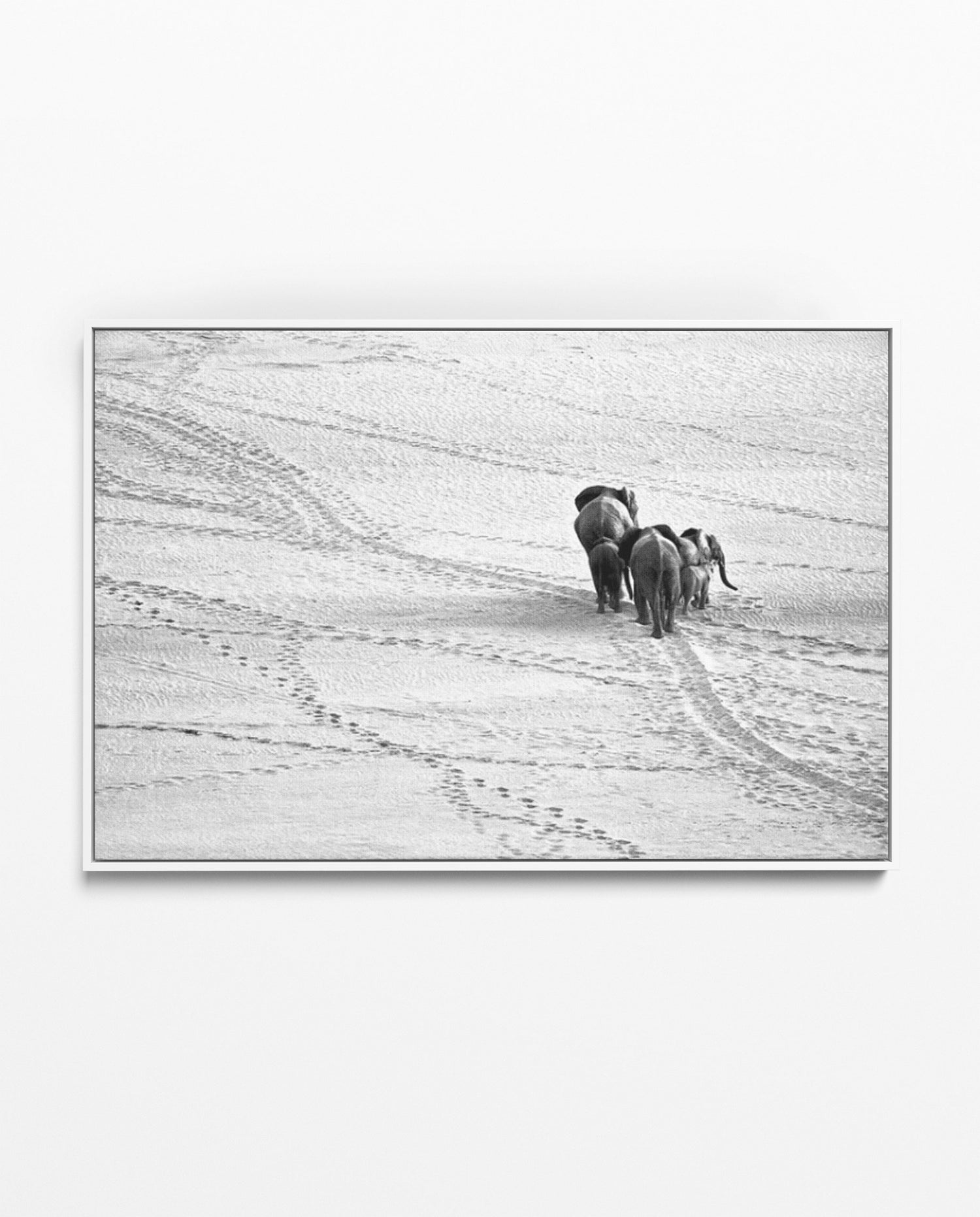 RDT_187 Richard Du Toit Print Elephant Herd in Desert