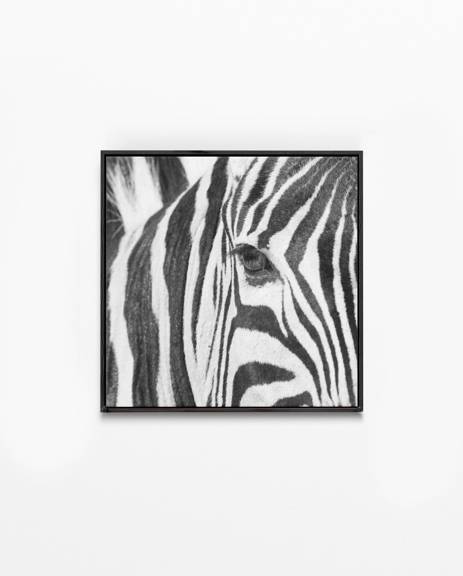 RDT_252 Richard Du Toit Print Zebra Eye