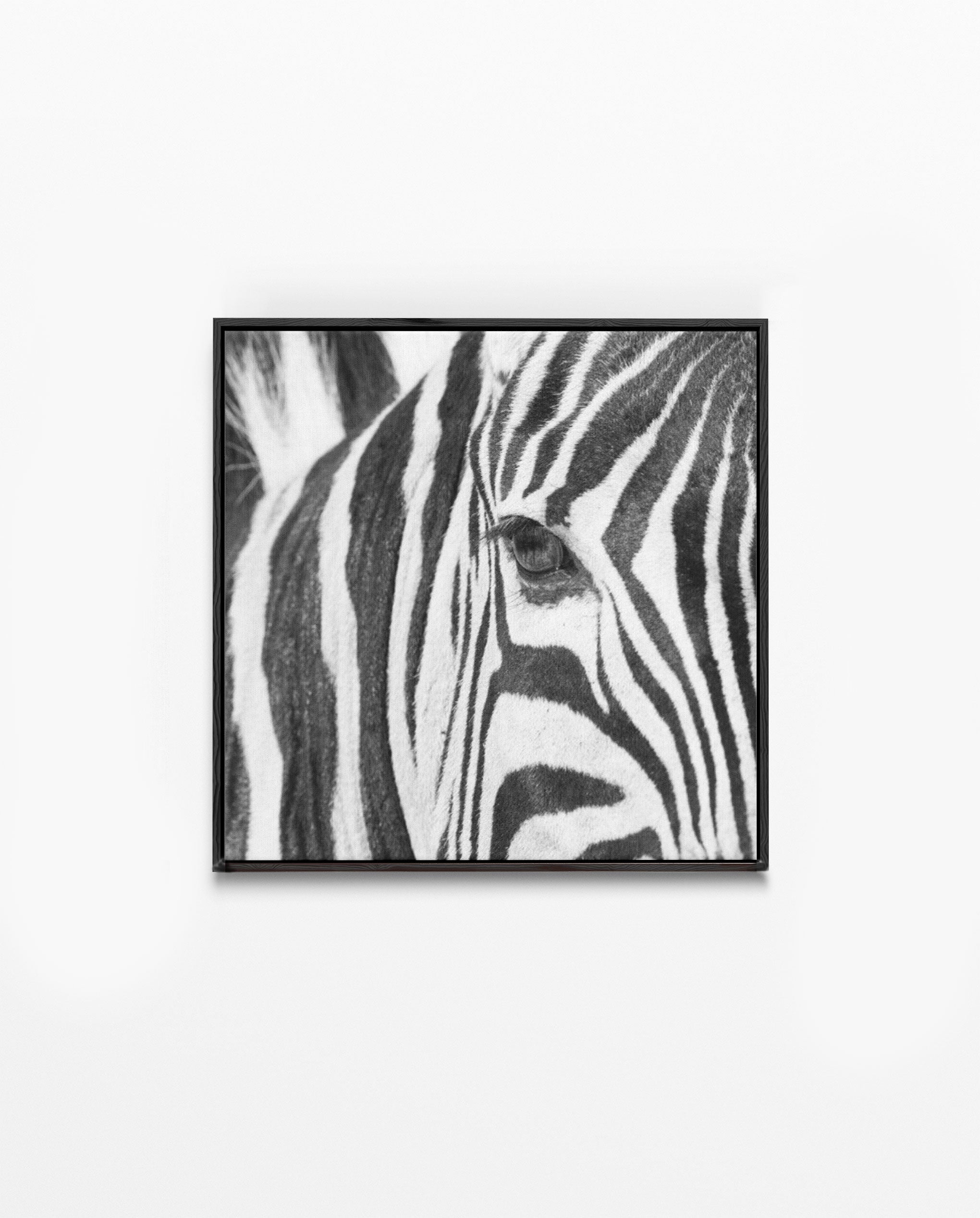 RDT_252 Richard Du Toit Print Zebra Eye