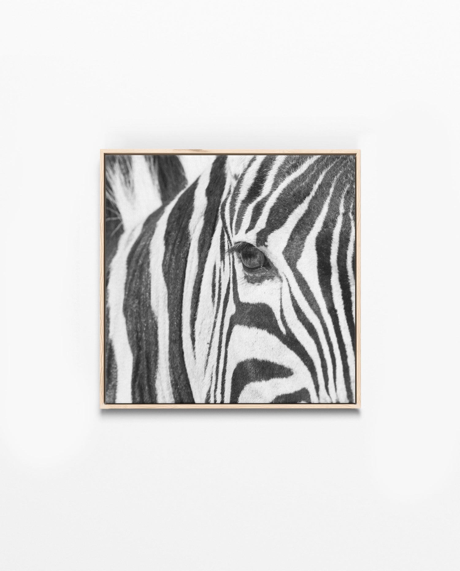 RDT_252 Richard Du Toit Print Zebra Eye