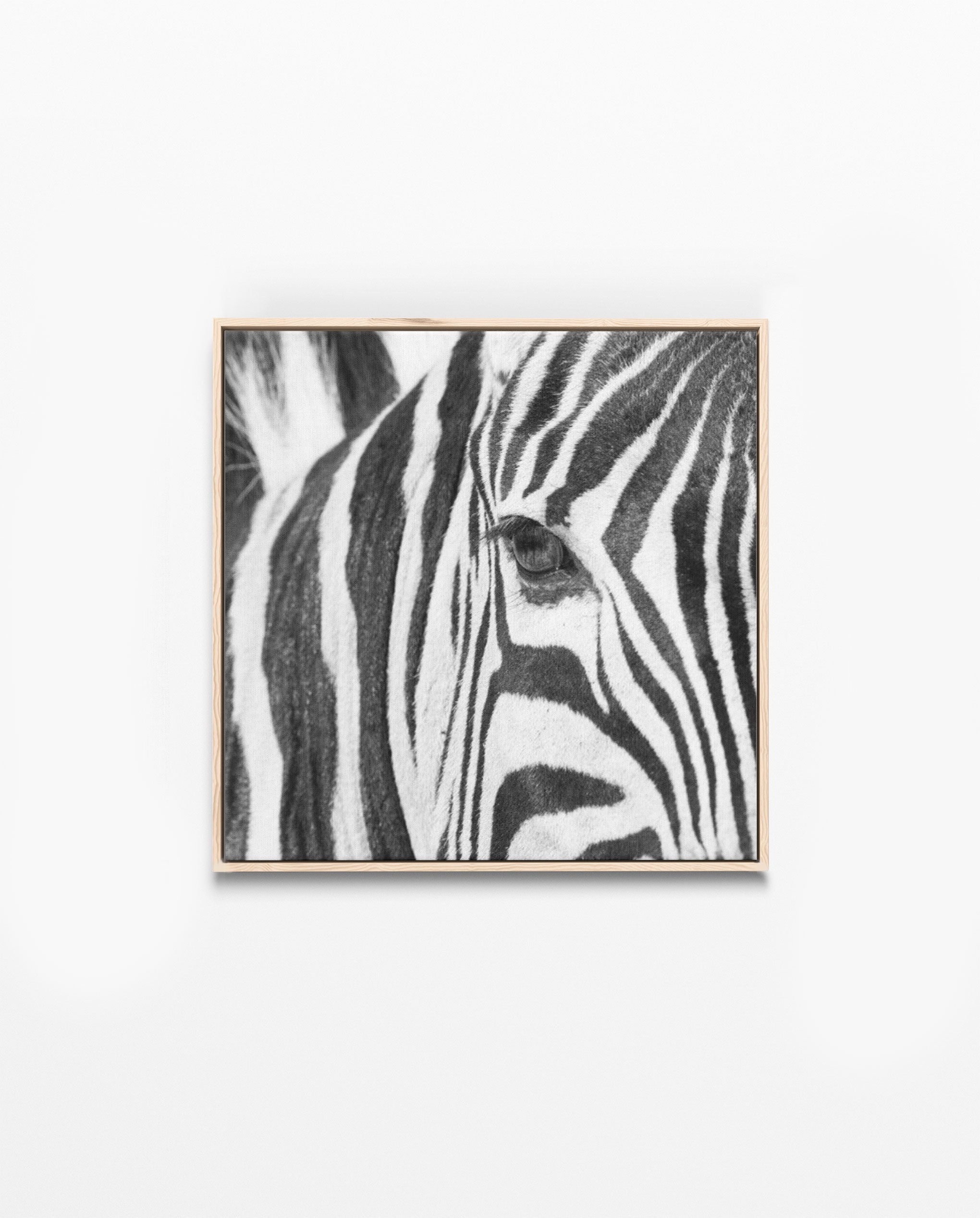 RDT_252 Richard Du Toit Print Zebra Eye